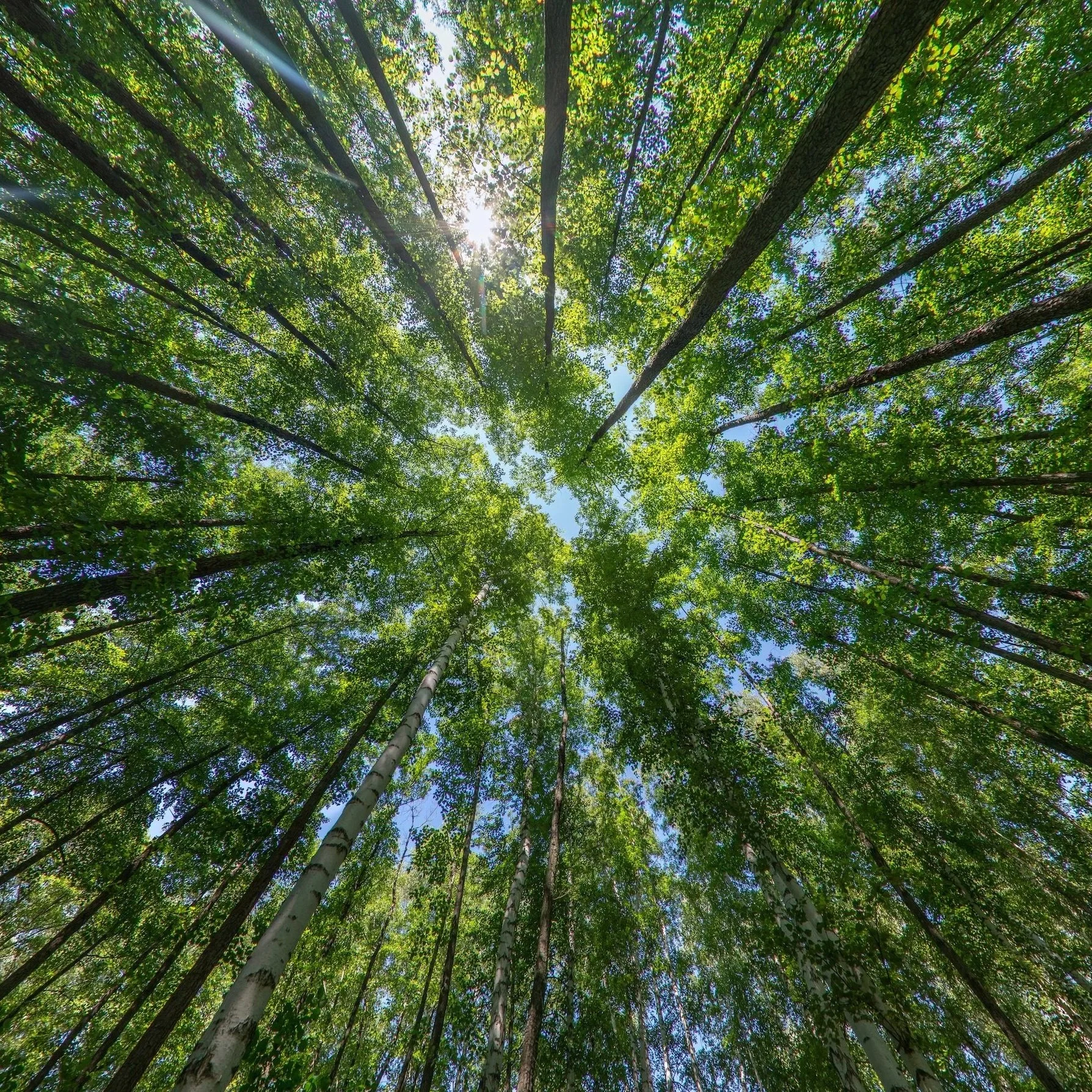 Ongoing Integration Program text with a CS logo below on a beige background.