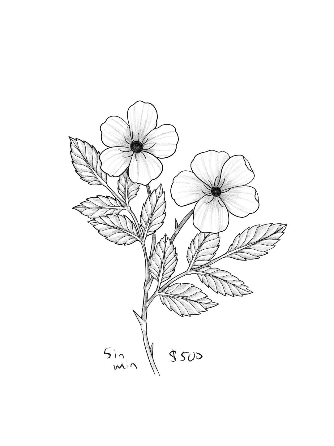 Untitled_Artwork 95.png