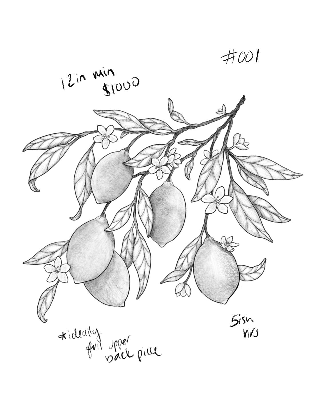 Untitled_Artwork 141.png