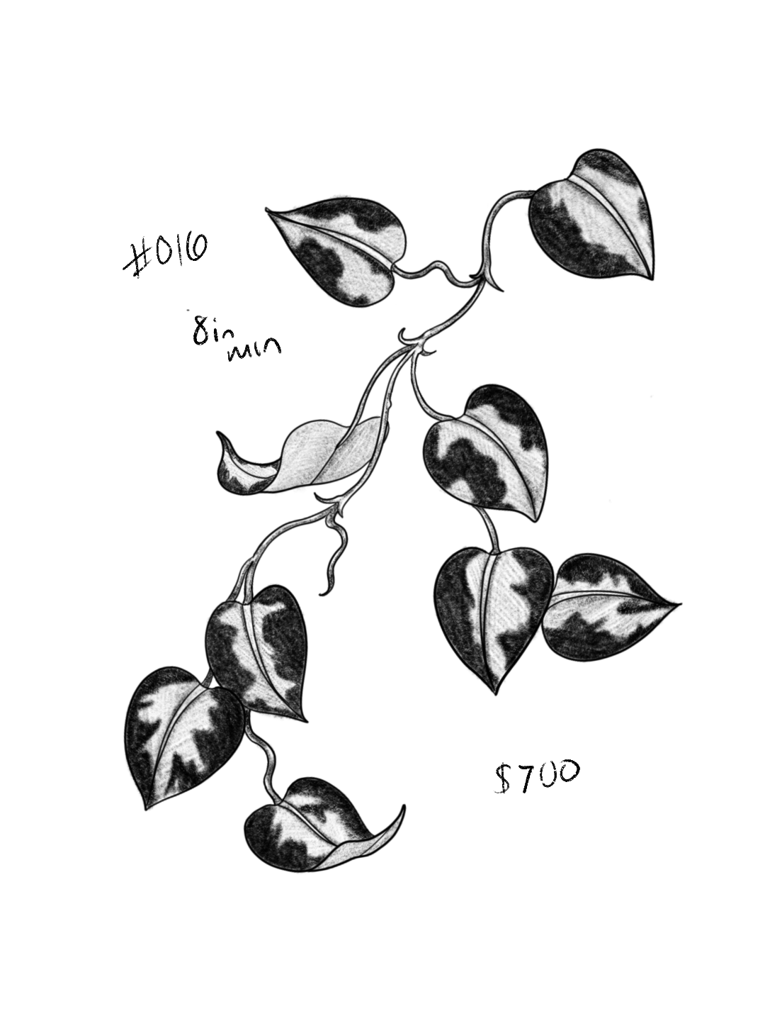 Untitled_Artwork 195.png