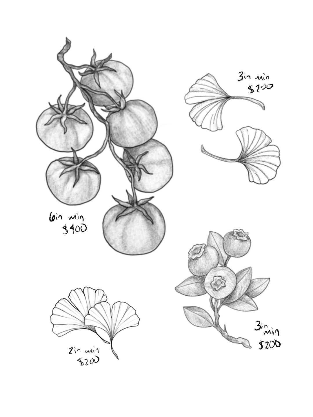 Untitled_Artwork 114.png