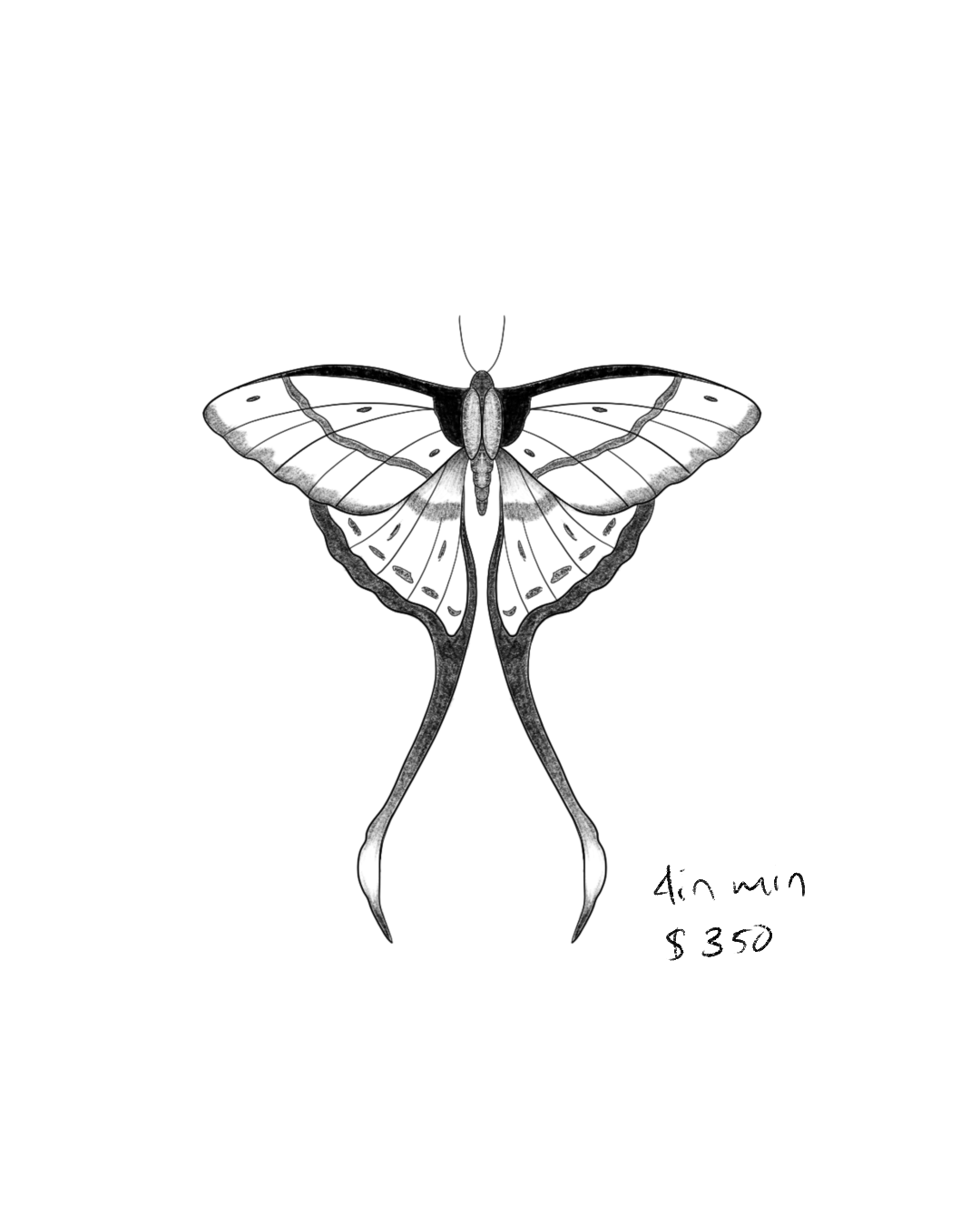 Untitled_Artwork 58.png