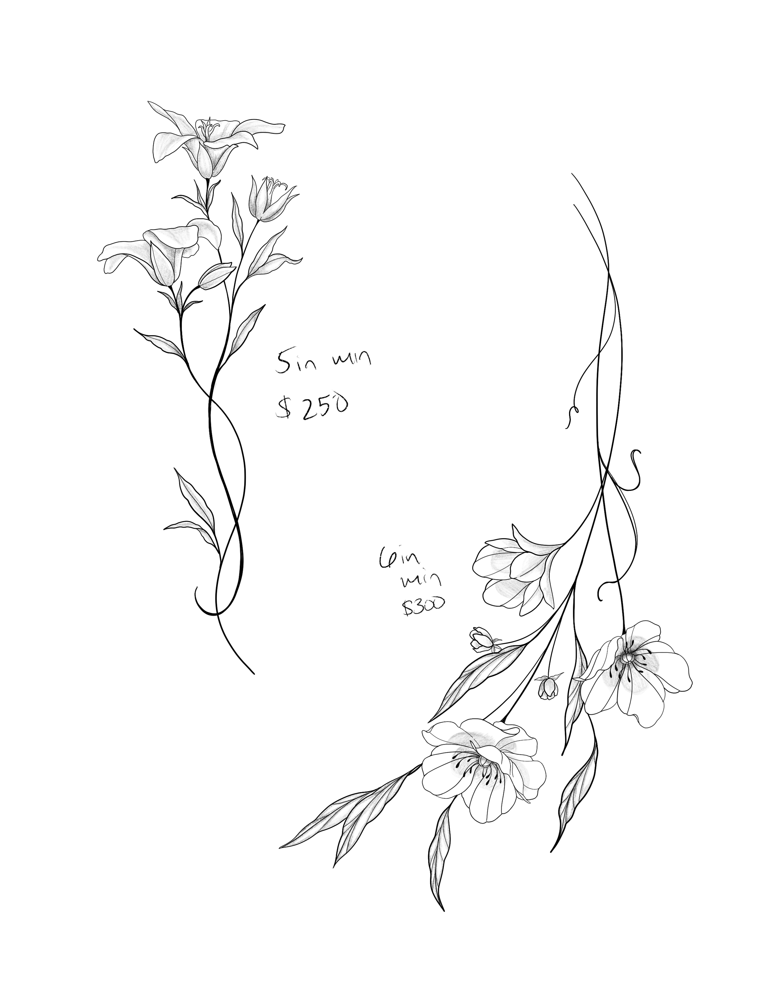 Untitled_Artwork 2.png