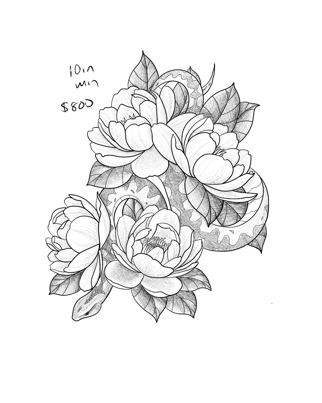 Untitled_Artwork 93.png