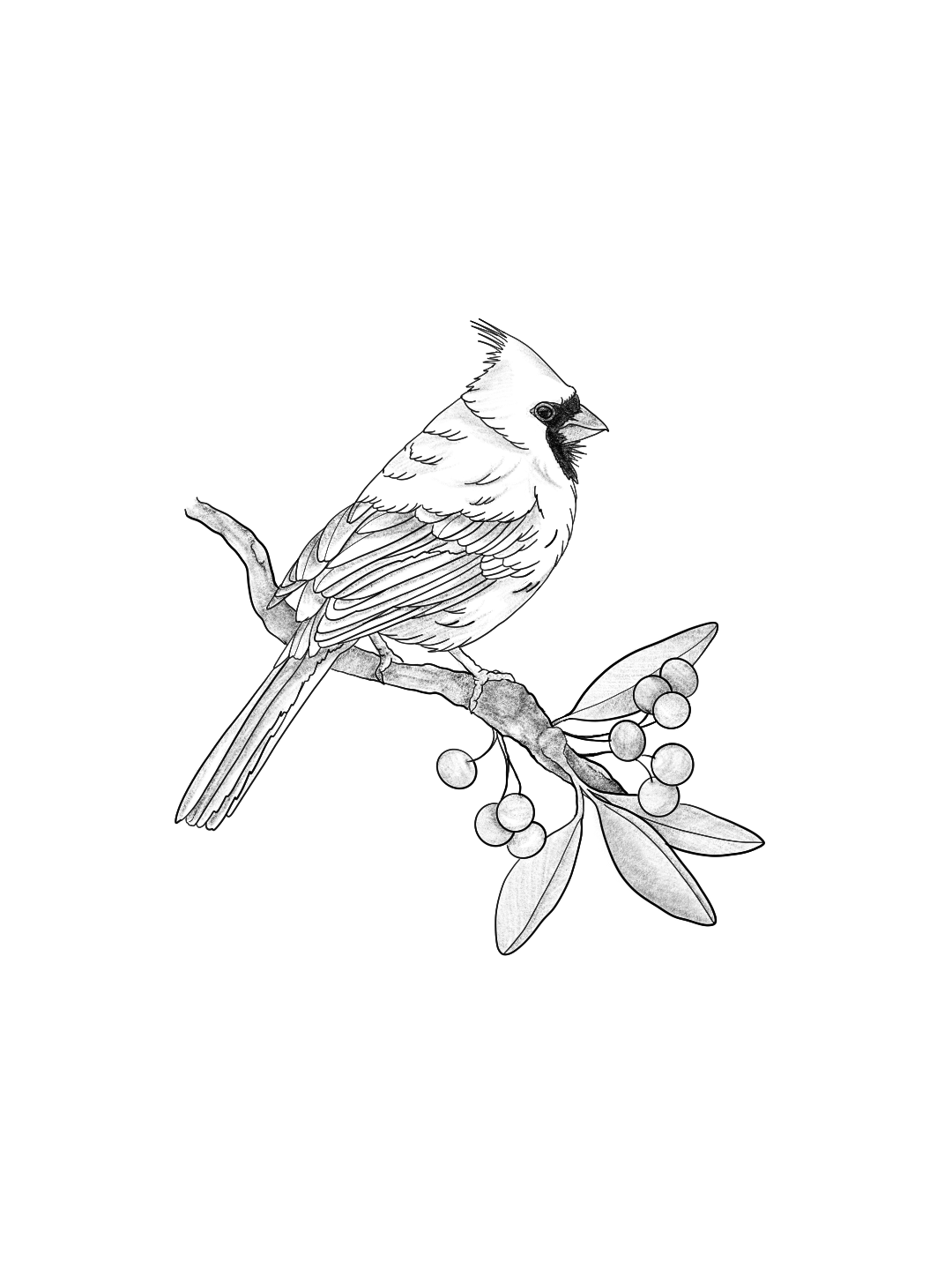 Untitled_Artwork 5.png