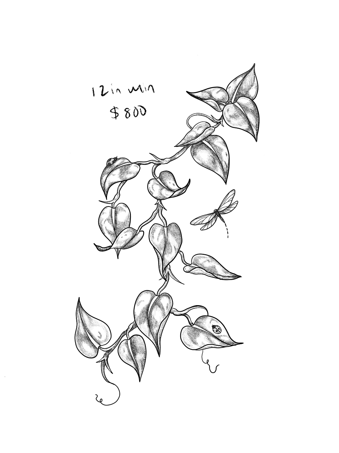 Untitled_Artwork 32.png