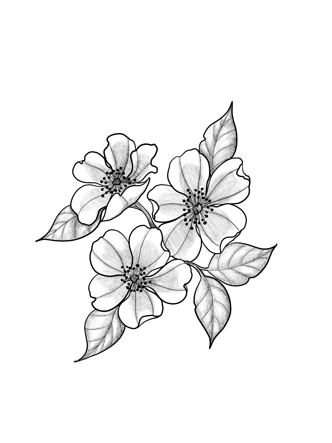 Untitled_Artwork 3.png