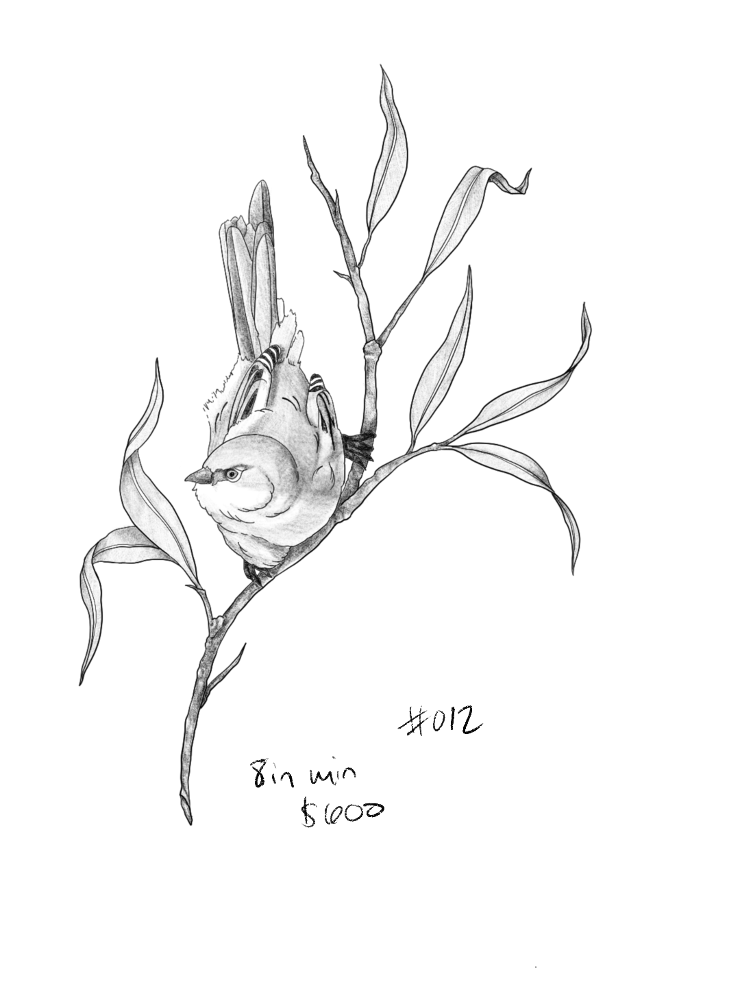 Untitled_Artwork 199.png