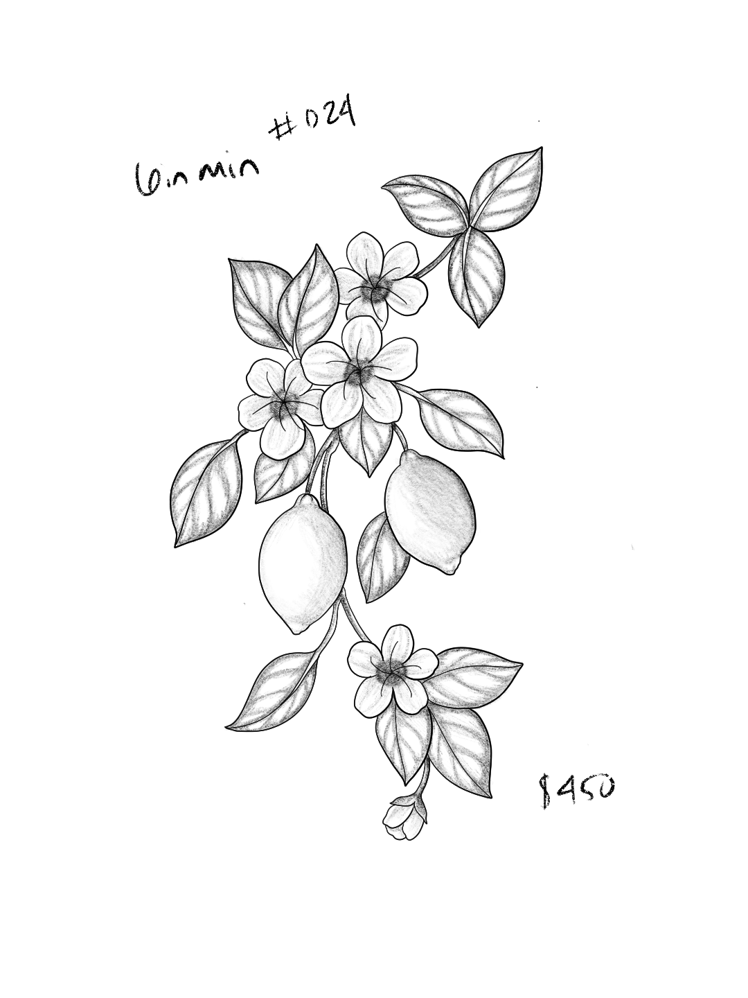 Untitled_Artwork 187.png