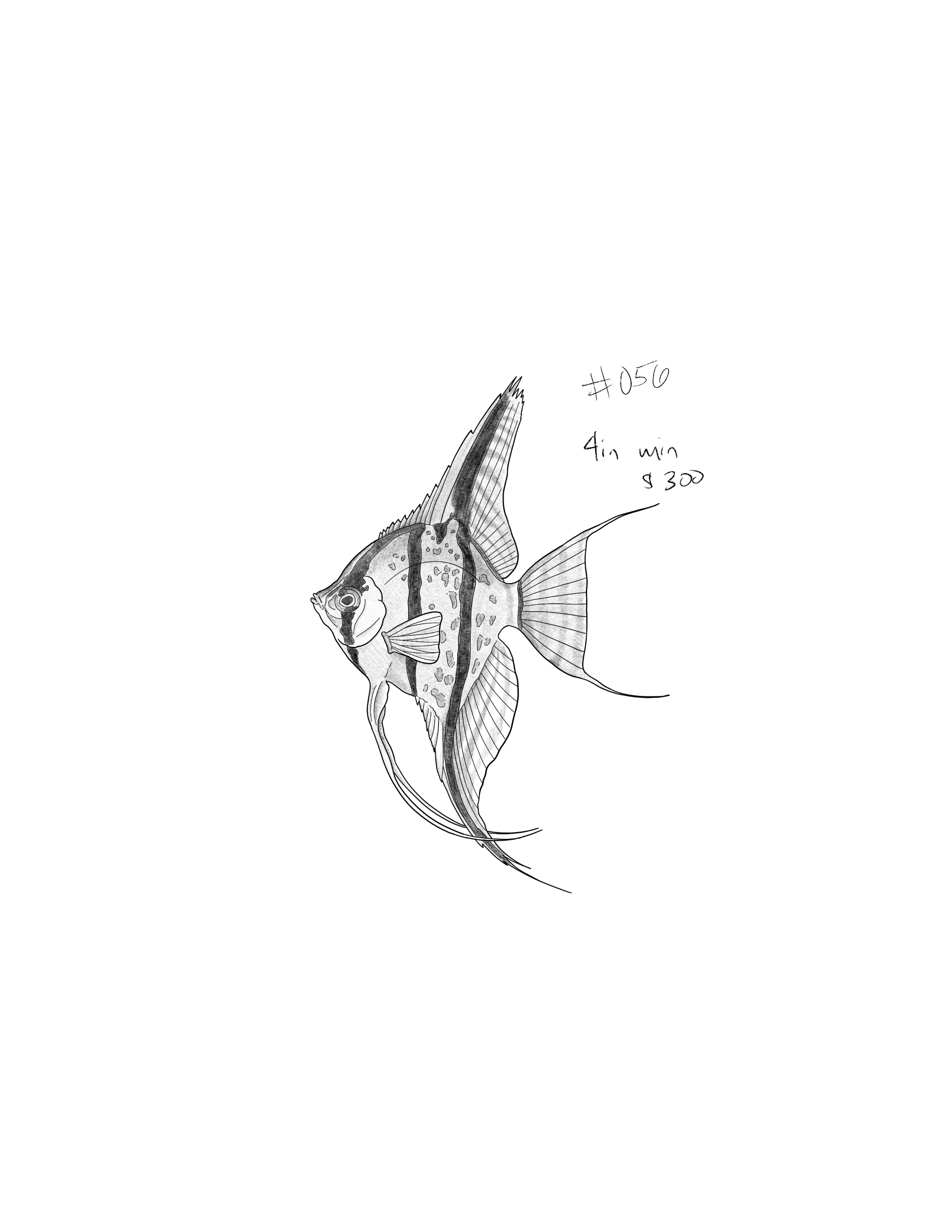 Untitled_Artwork 155.png