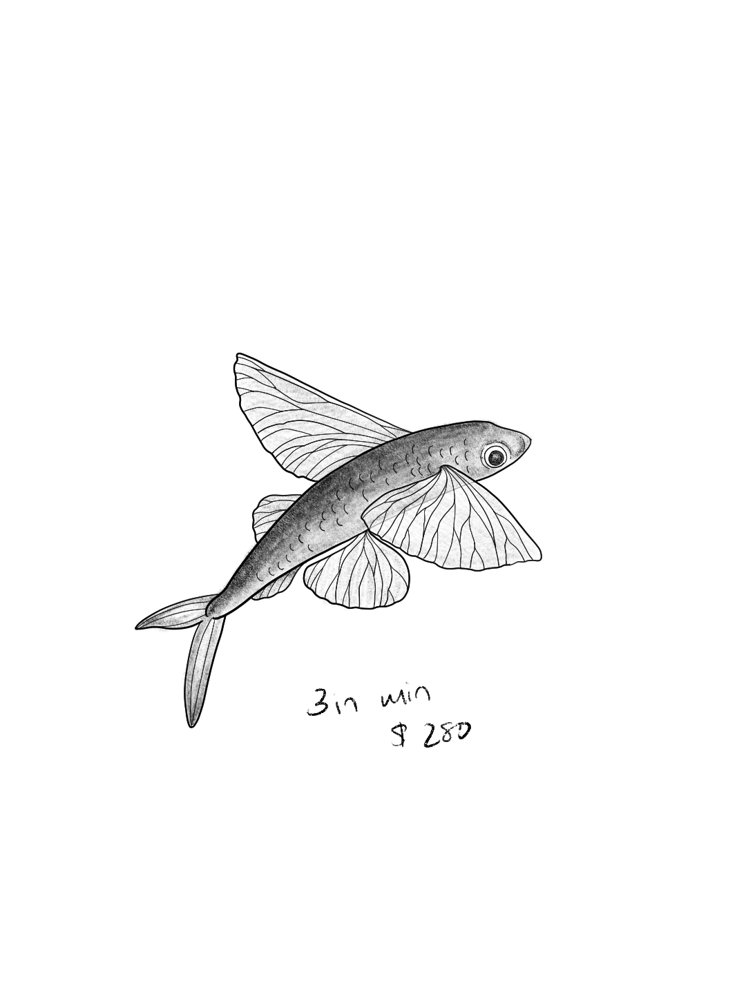 Untitled_Artwork 68.png