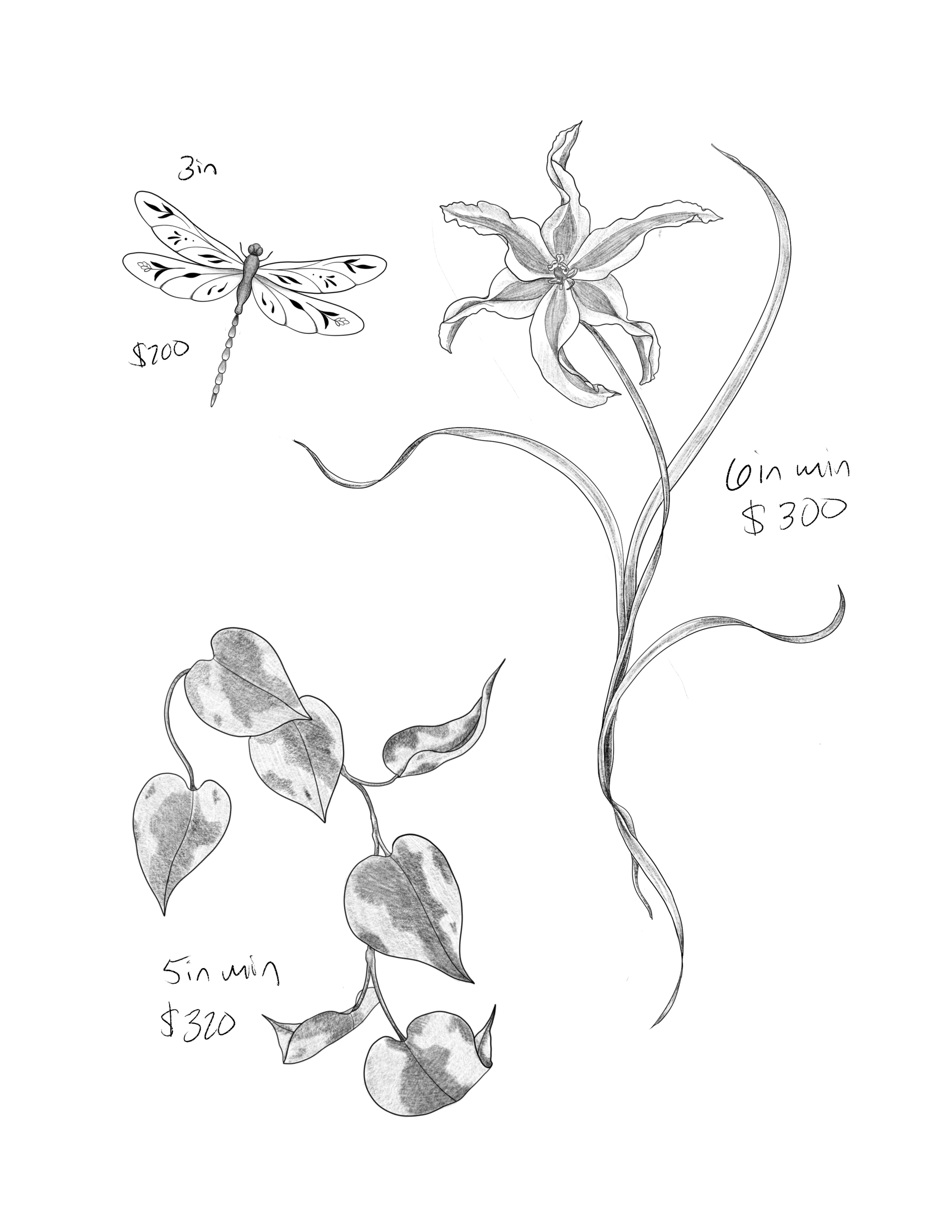 Untitled_Artwork 5.png