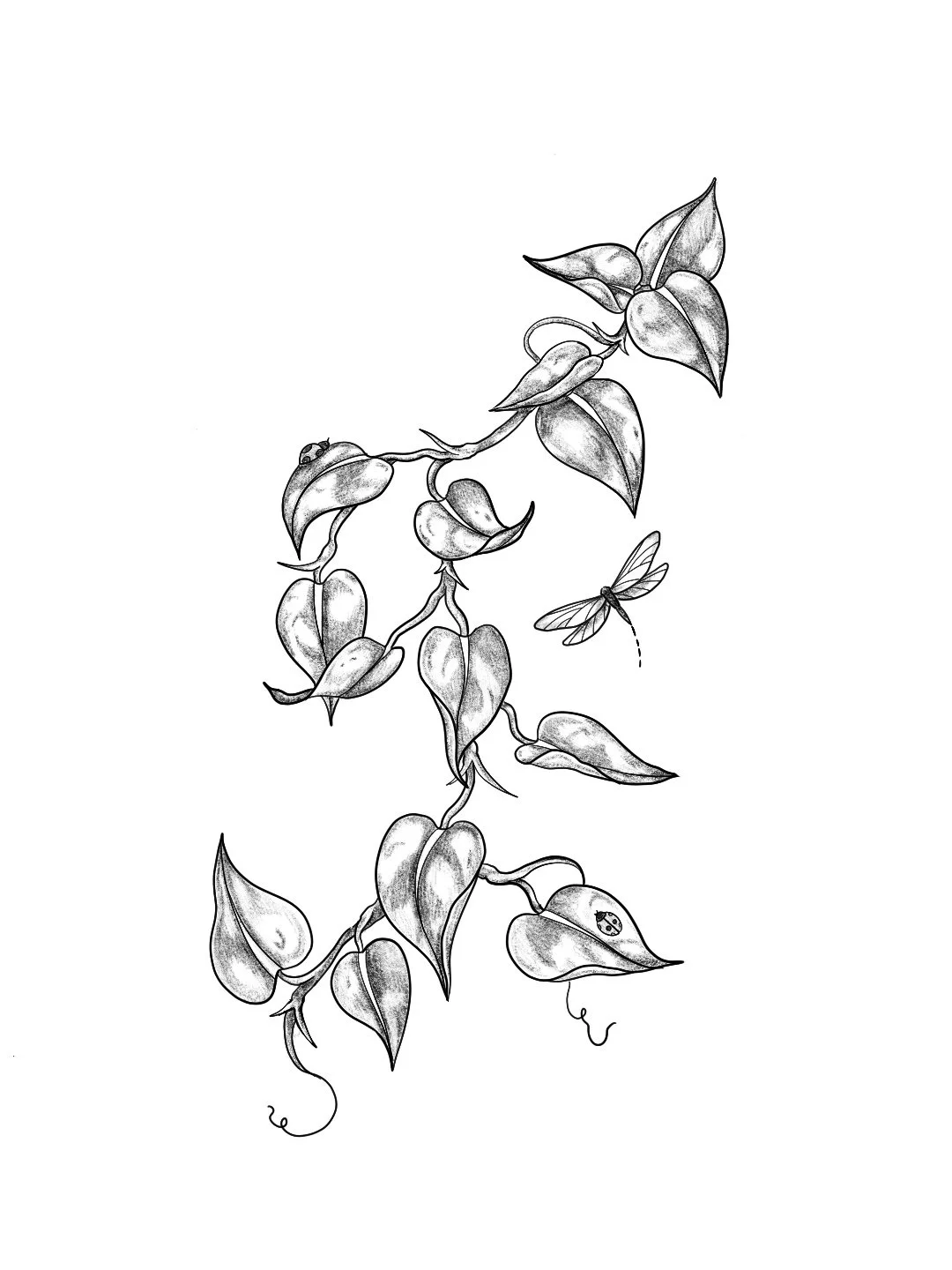 Untitled_Artwork 3.jpg