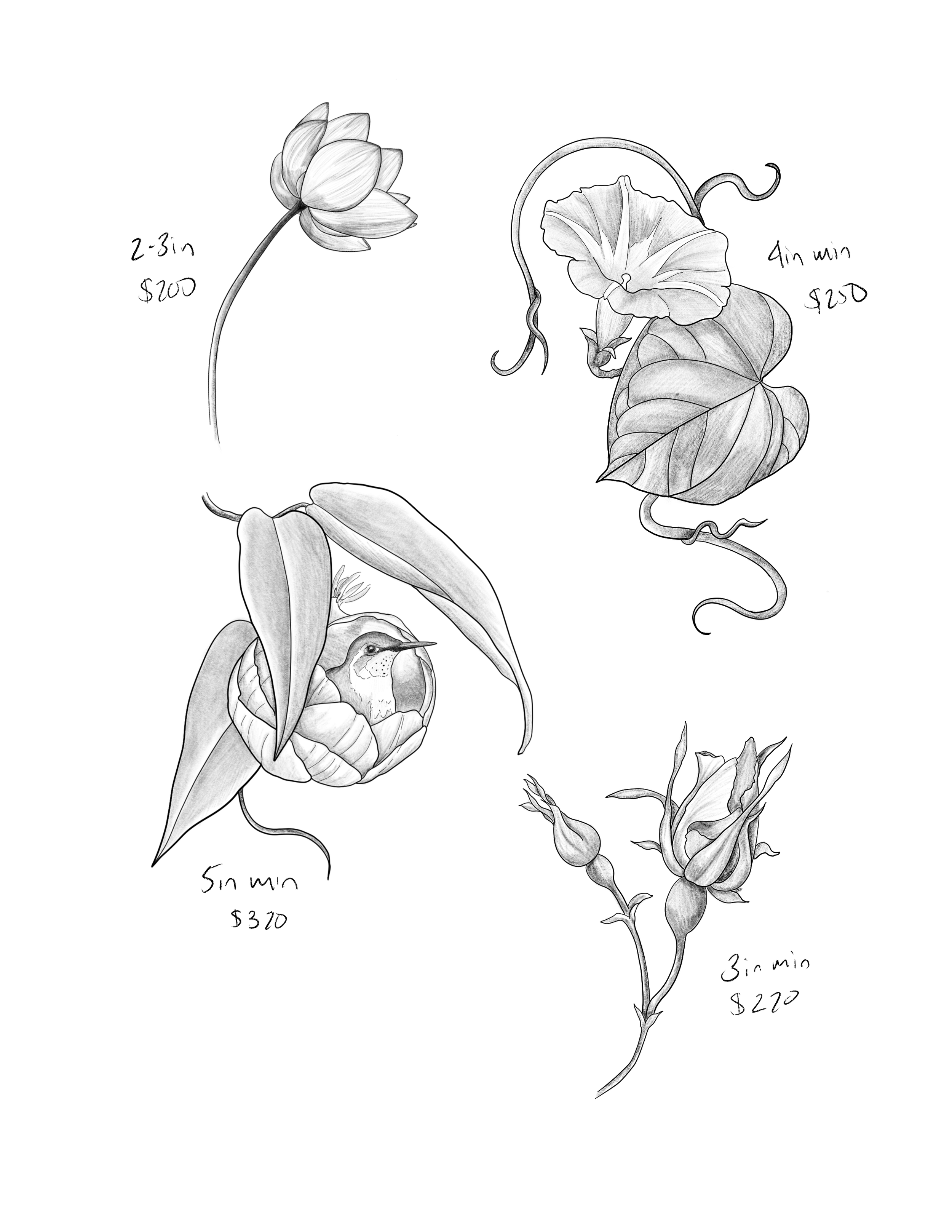 Untitled_Artwork 66.png