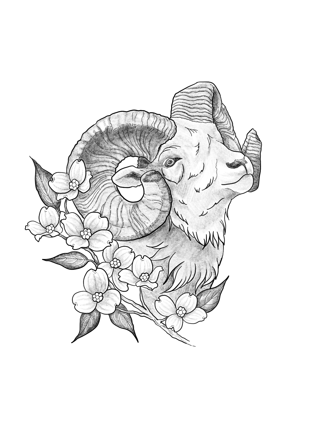 Untitled_Artwork 4.png