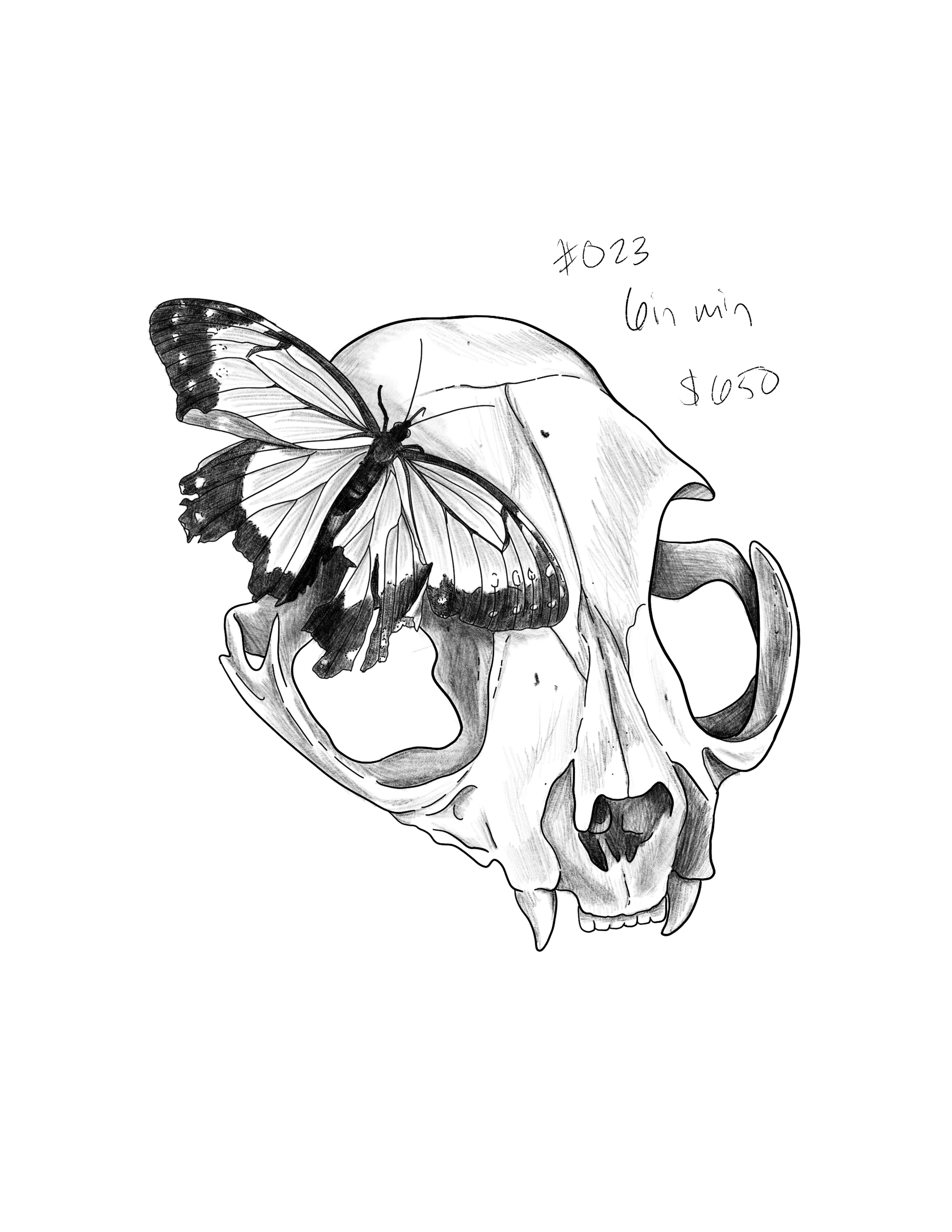 Untitled_Artwork 188.png