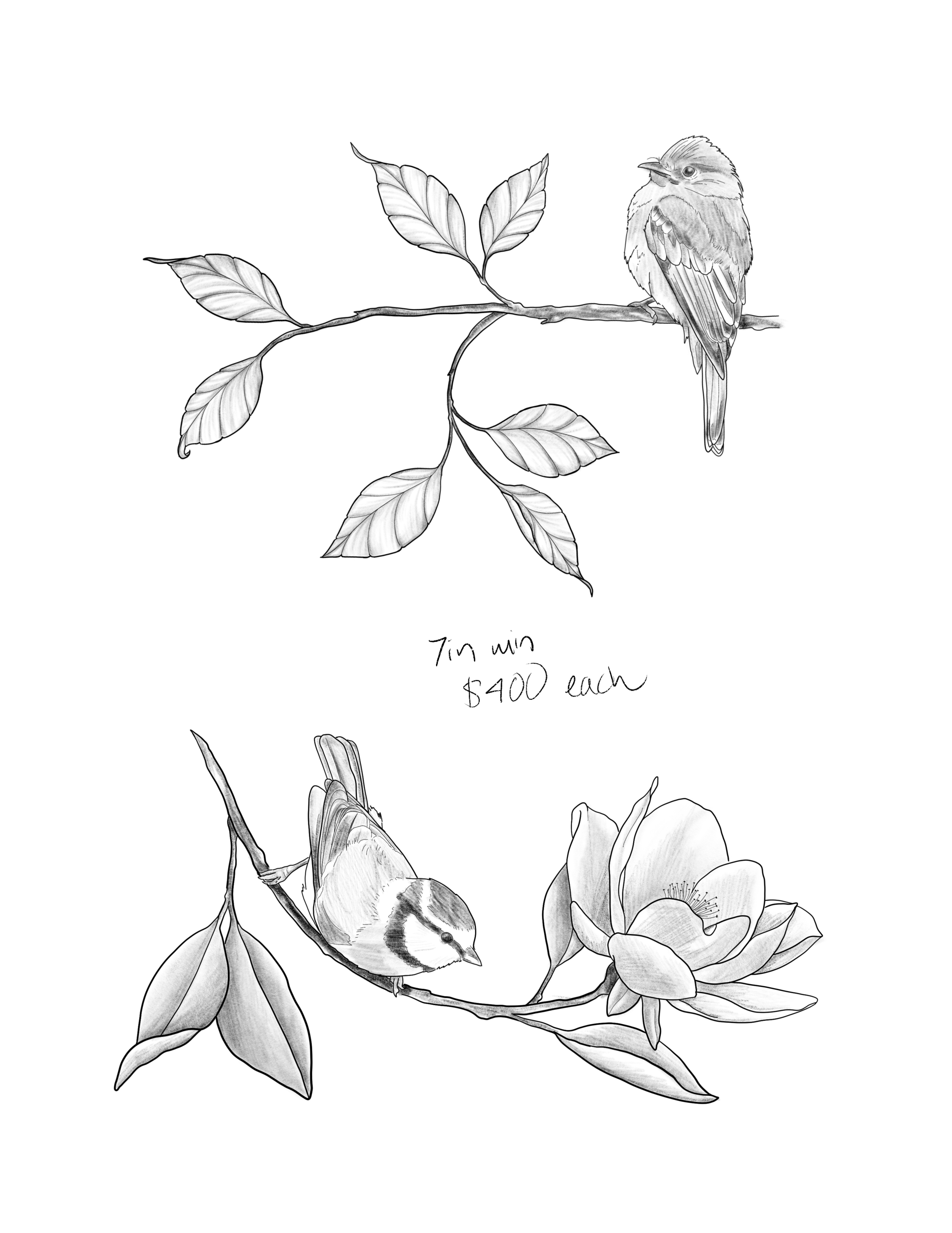 Untitled_Artwork 9.png