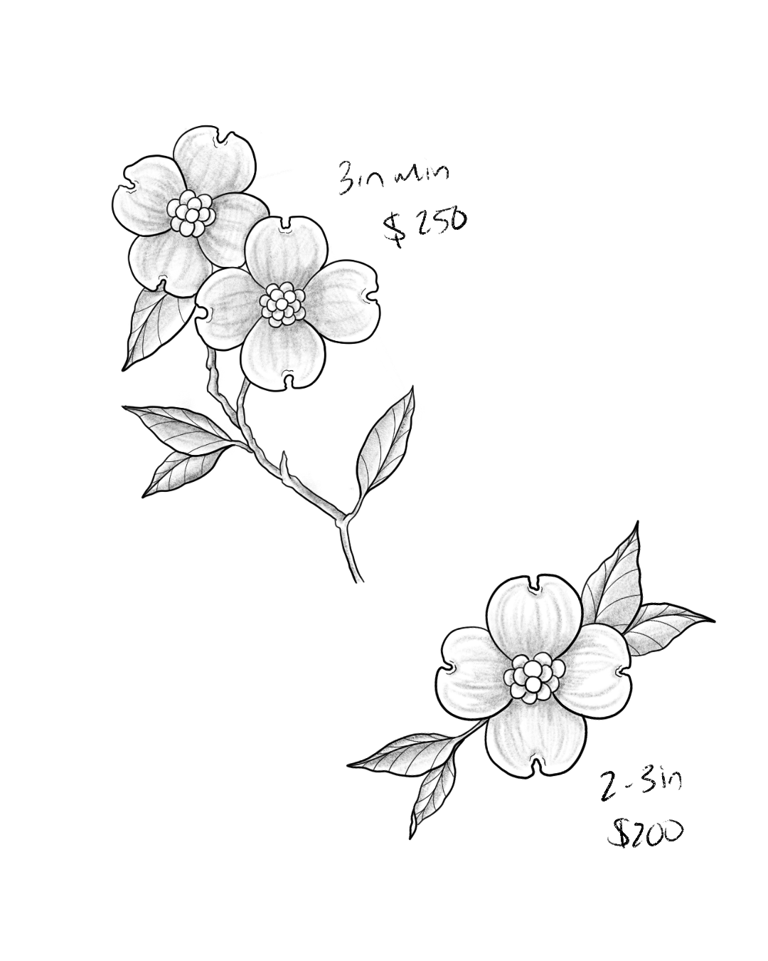 Untitled_Artwork 65.png