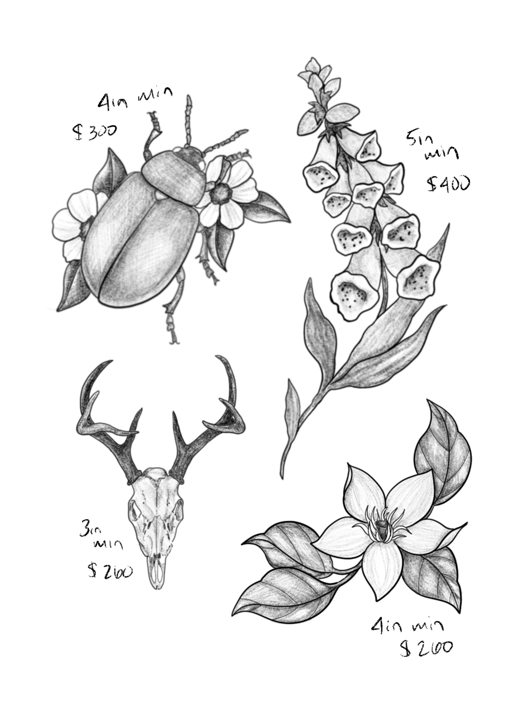 Untitled_Artwork 97.png