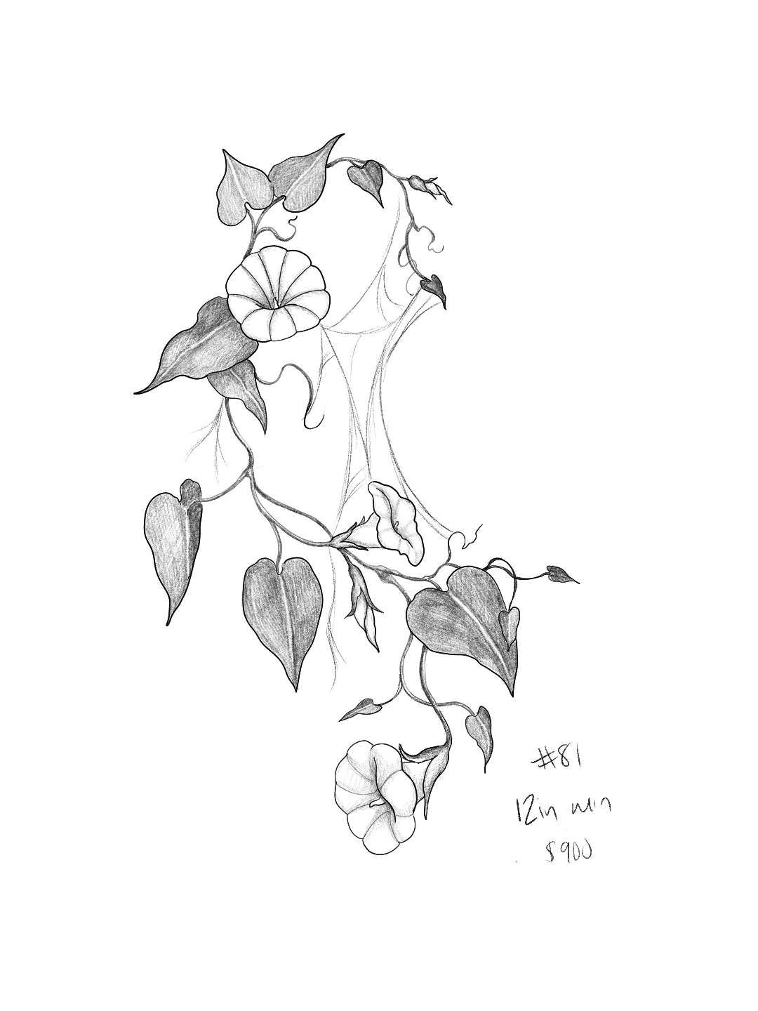 Untitled_Artwork 145.png