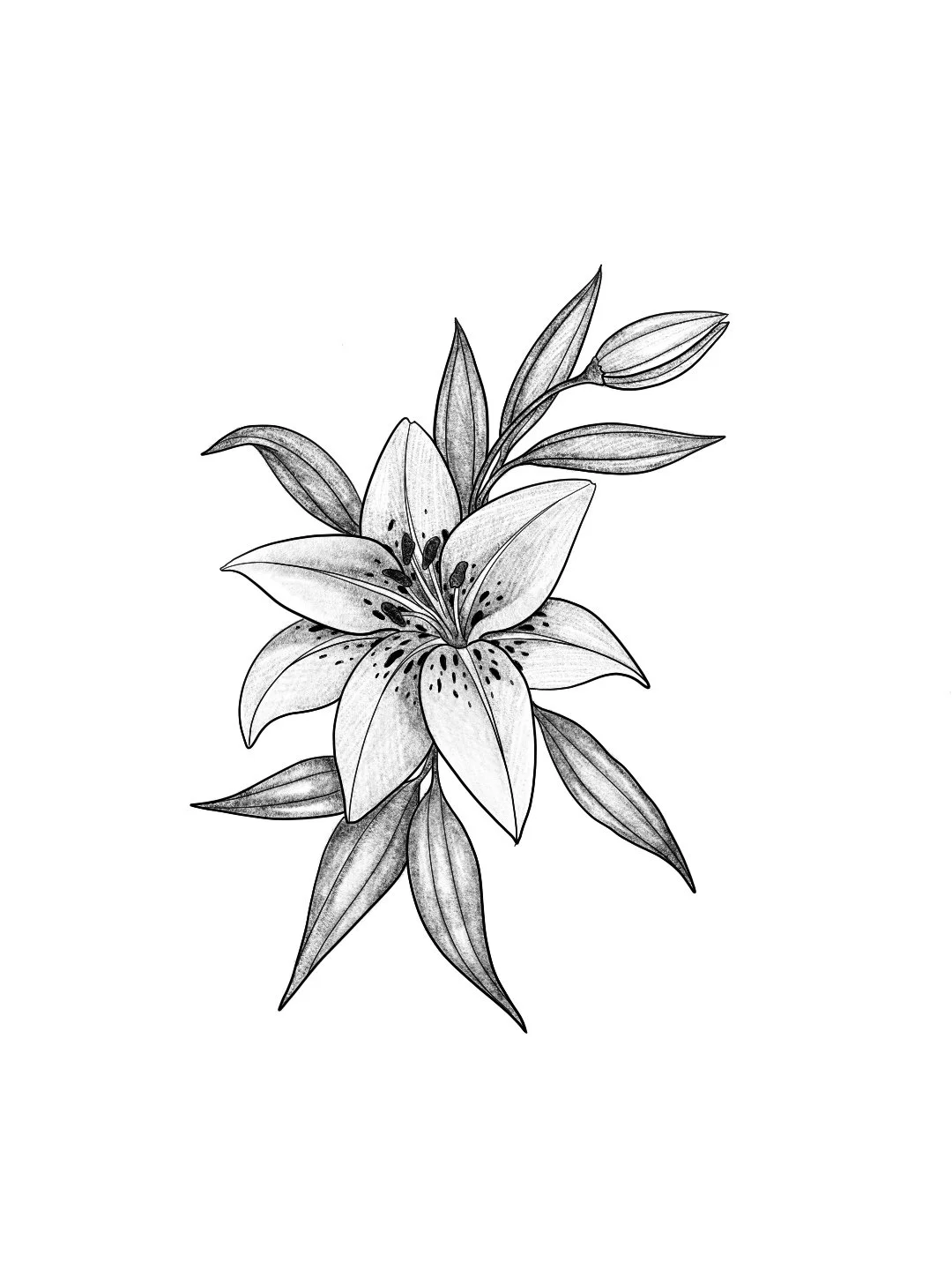 Untitled_Artwork 4.jpg