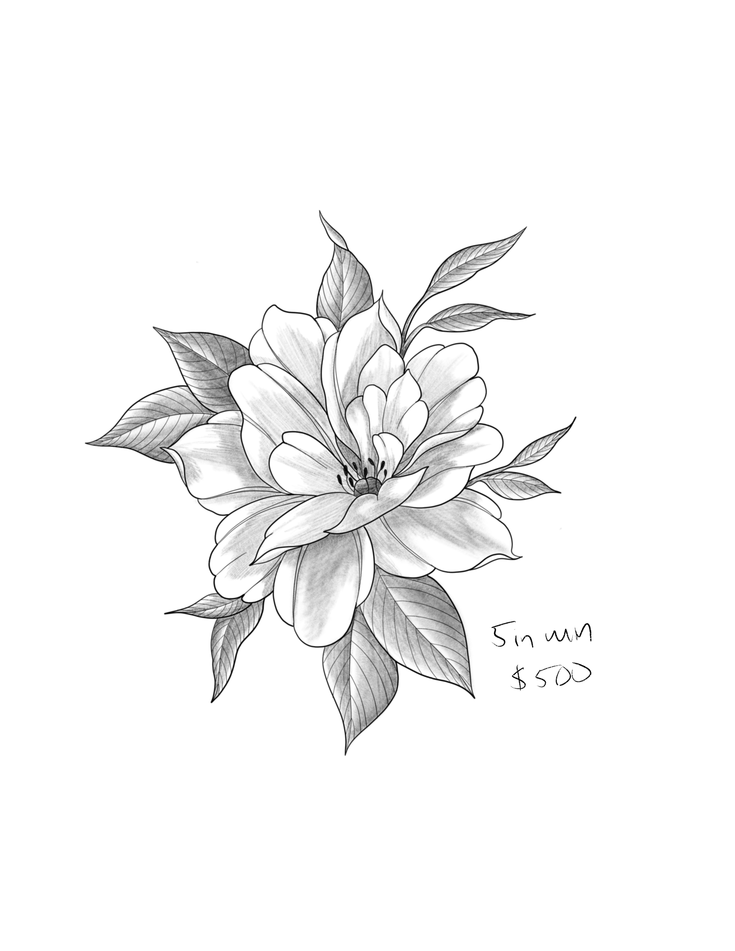 Untitled_Artwork 41.png