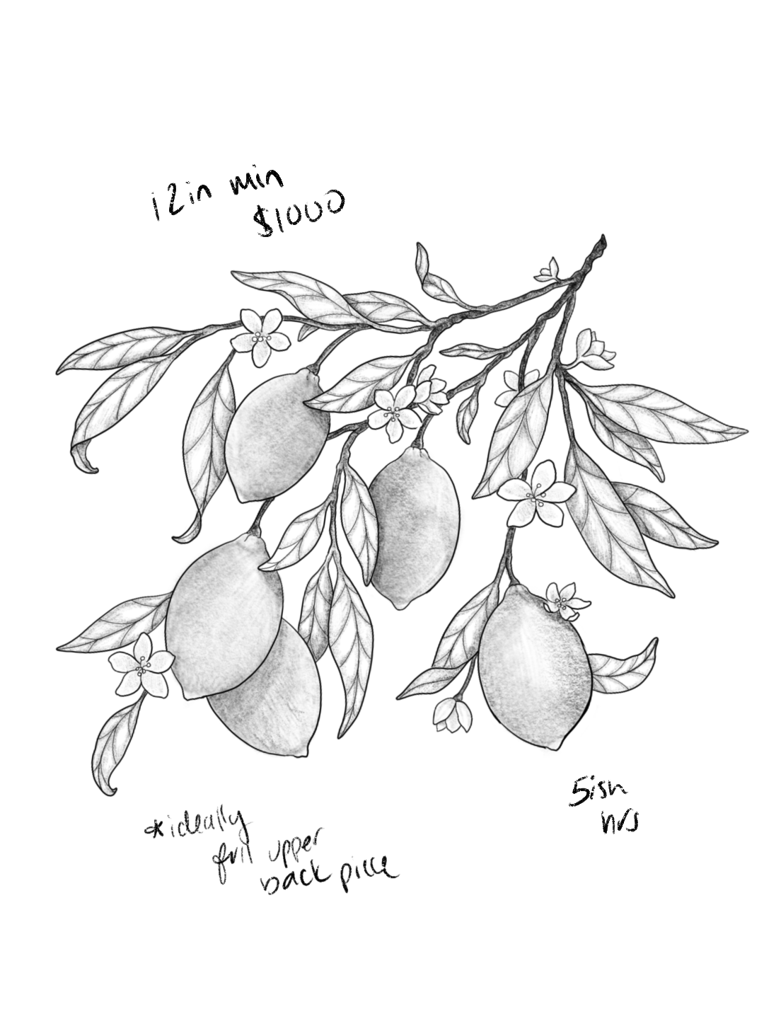 Untitled_Artwork 33.png