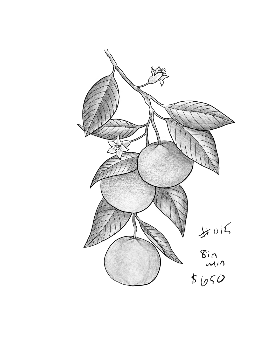 Untitled_Artwork 196.png