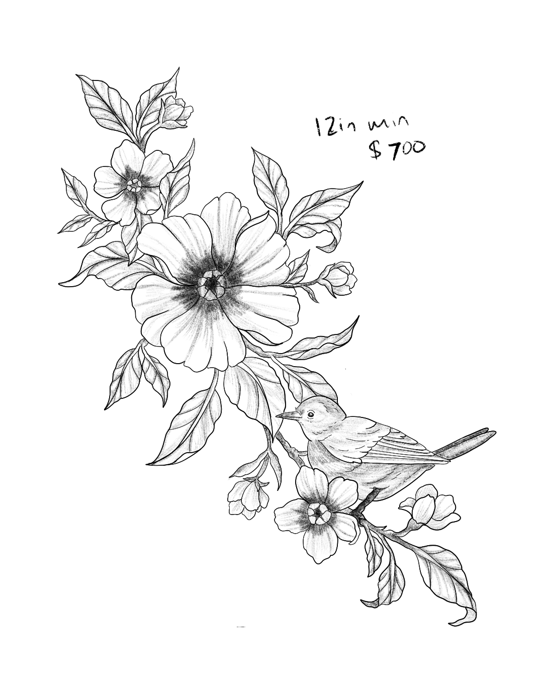 Untitled_Artwork 4.png