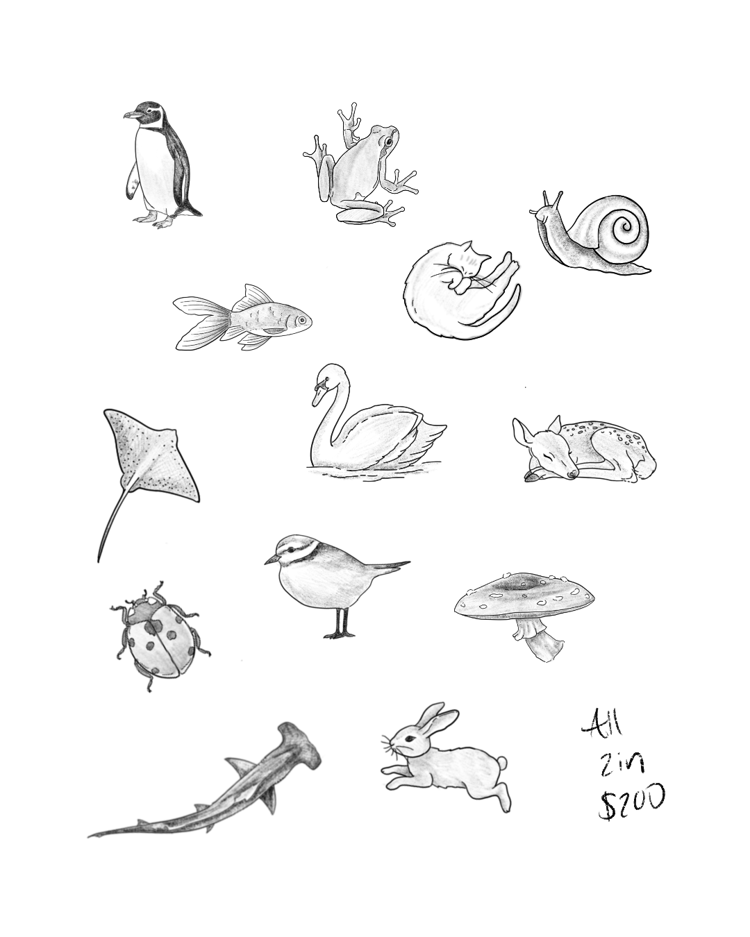 Untitled_Artwork 64.png