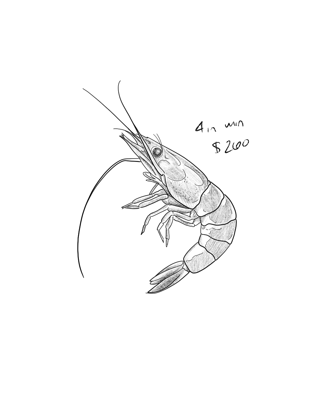 Untitled_Artwork 67.png