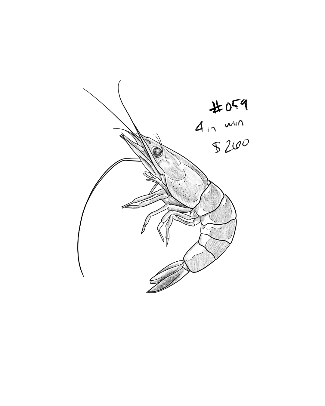 Untitled_Artwork 160.png