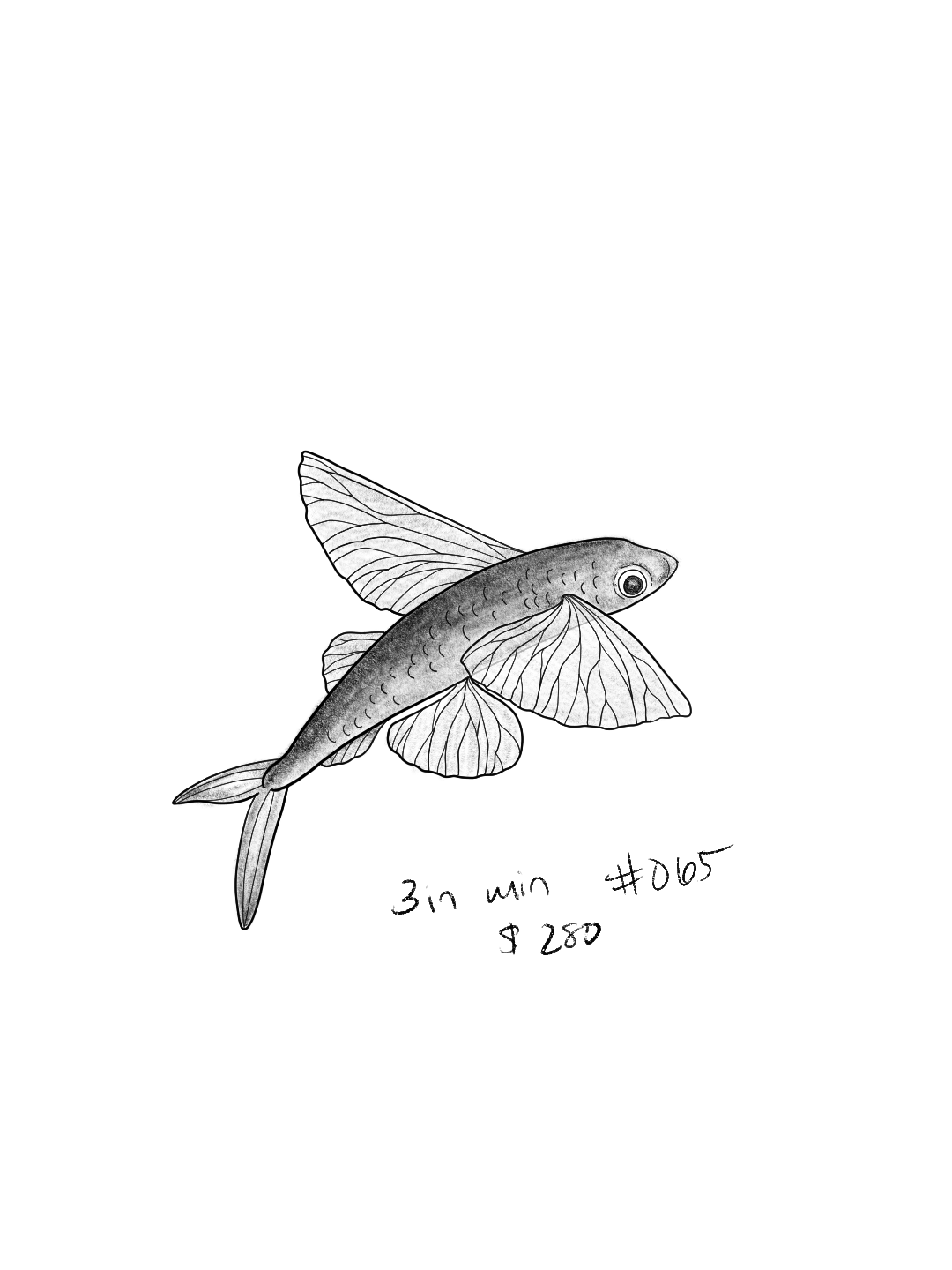 Untitled_Artwork 148.png