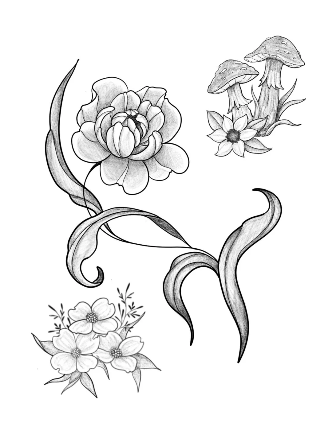 Untitled_Artwork 5.jpg