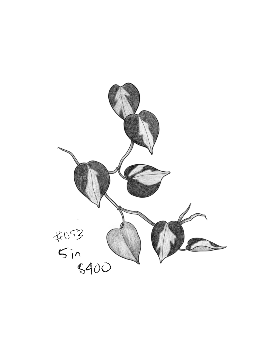 Untitled_Artwork 158.png