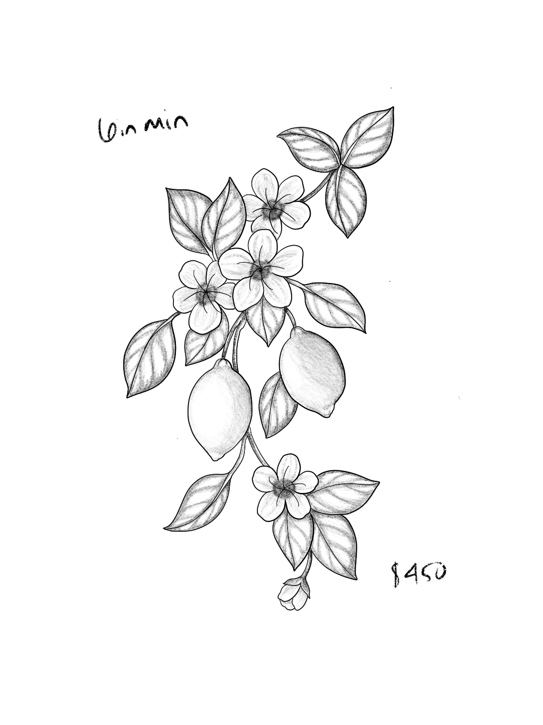 Untitled_Artwork 71.png
