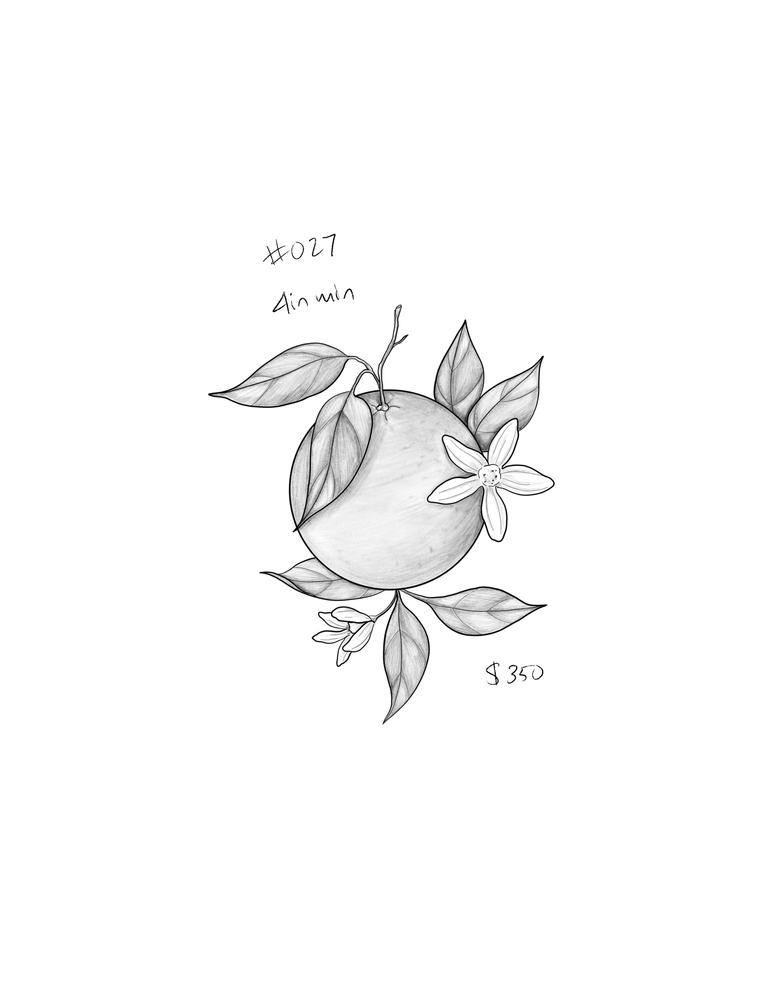 Untitled_Artwork 184.png