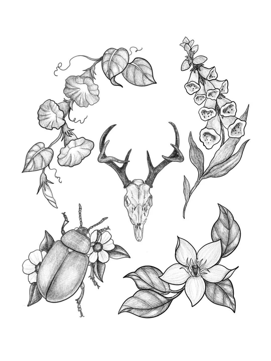 Untitled_Artwork 6.jpg