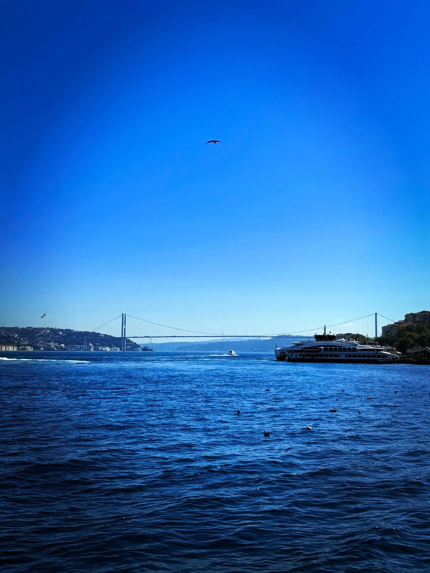 *
bir şehre gider gibi değil de eski bir dostu ziyaret eder gibi. bilinmedik yerlerde kaybolma heyecanından sıyrılıp tanıdık yerlerin huzuruna bulanmak. yollar hepimizi bir yere g&ouml;t&uuml;r&uuml;r de nereye varacağını bilmek kıymetlendirir o yolu