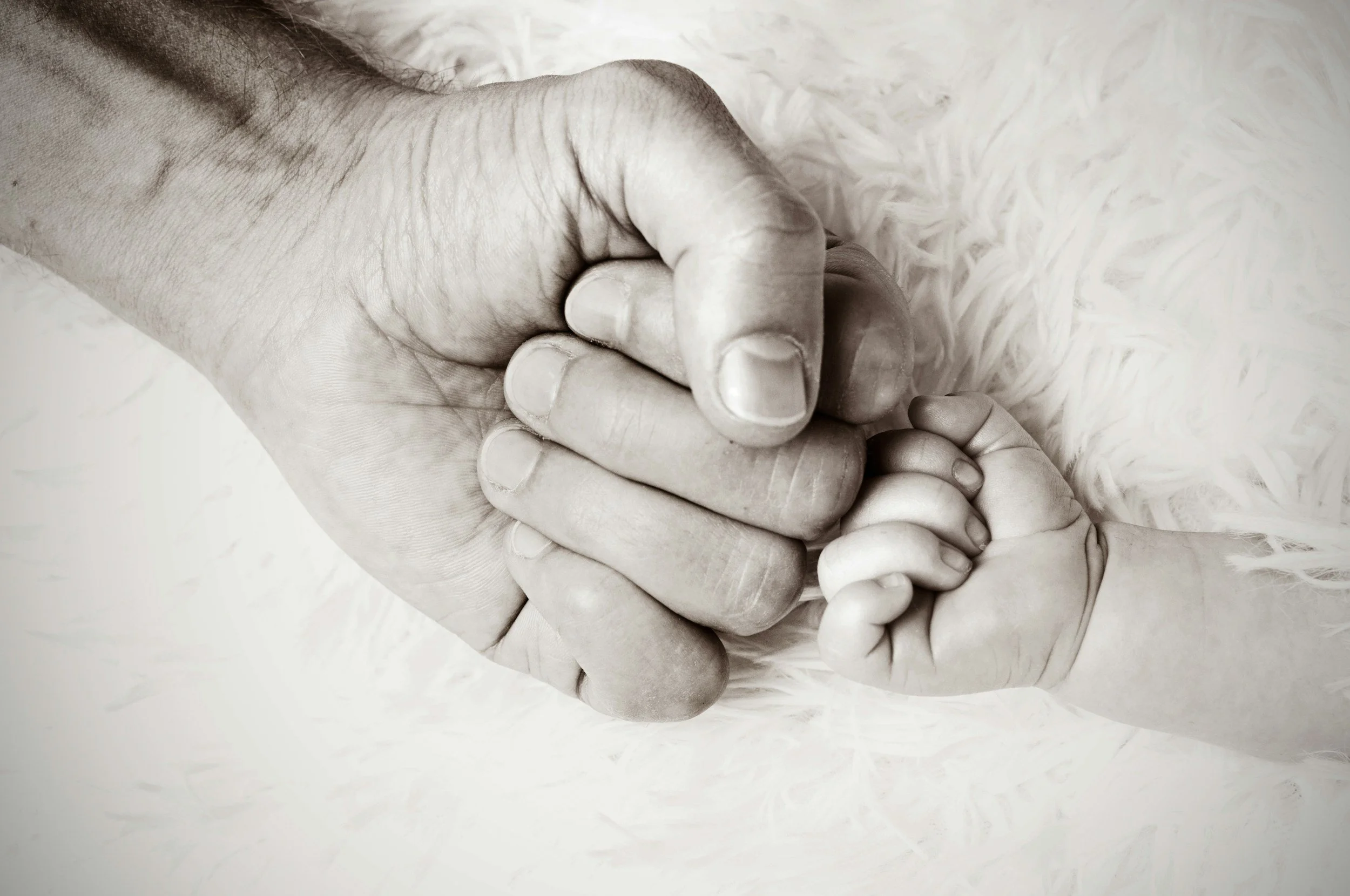 An adult hand gently holding a tiny baby's hand, both with visible fingers, against a soft, furry background. Working across the lifespan.