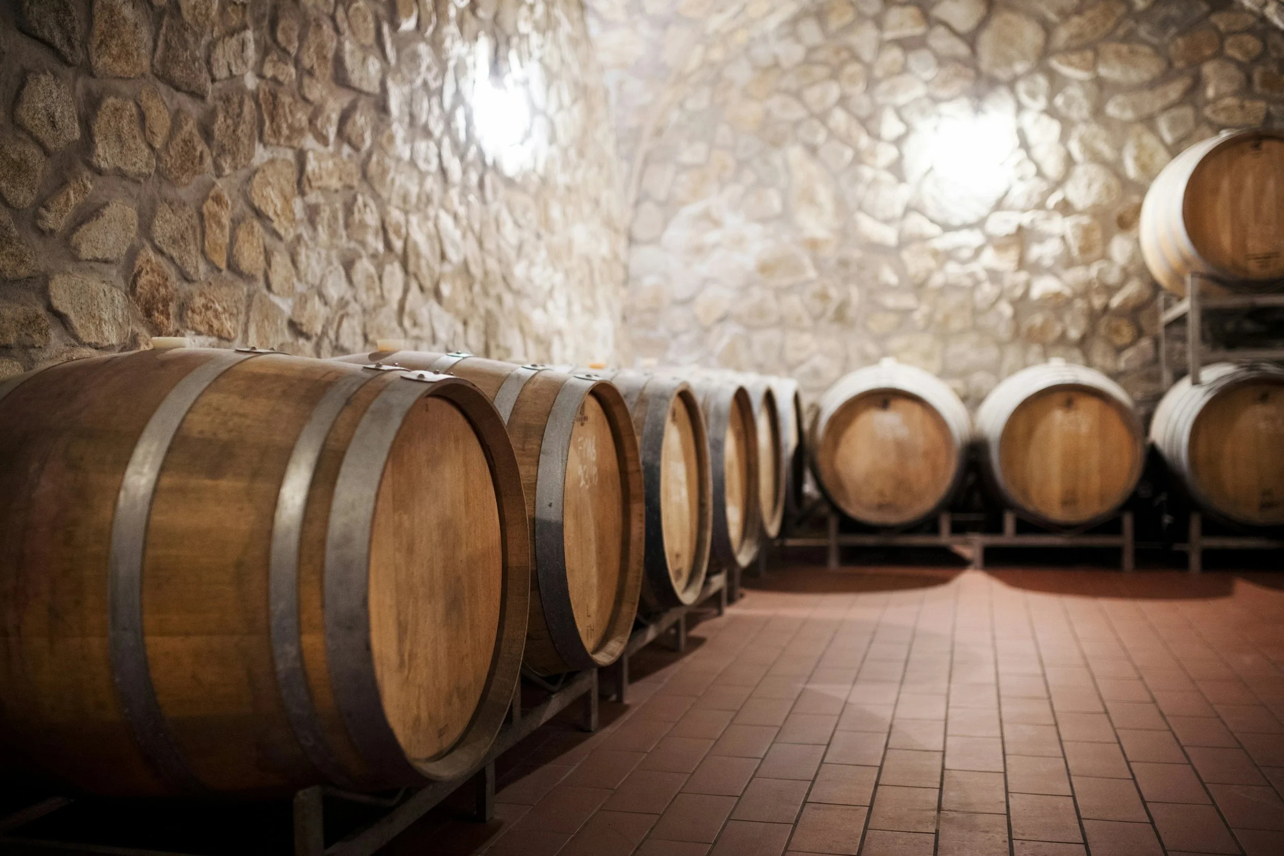 Hidden Gems Near Nashville: 7 Unique Experiences for Your Nashville Event Guests