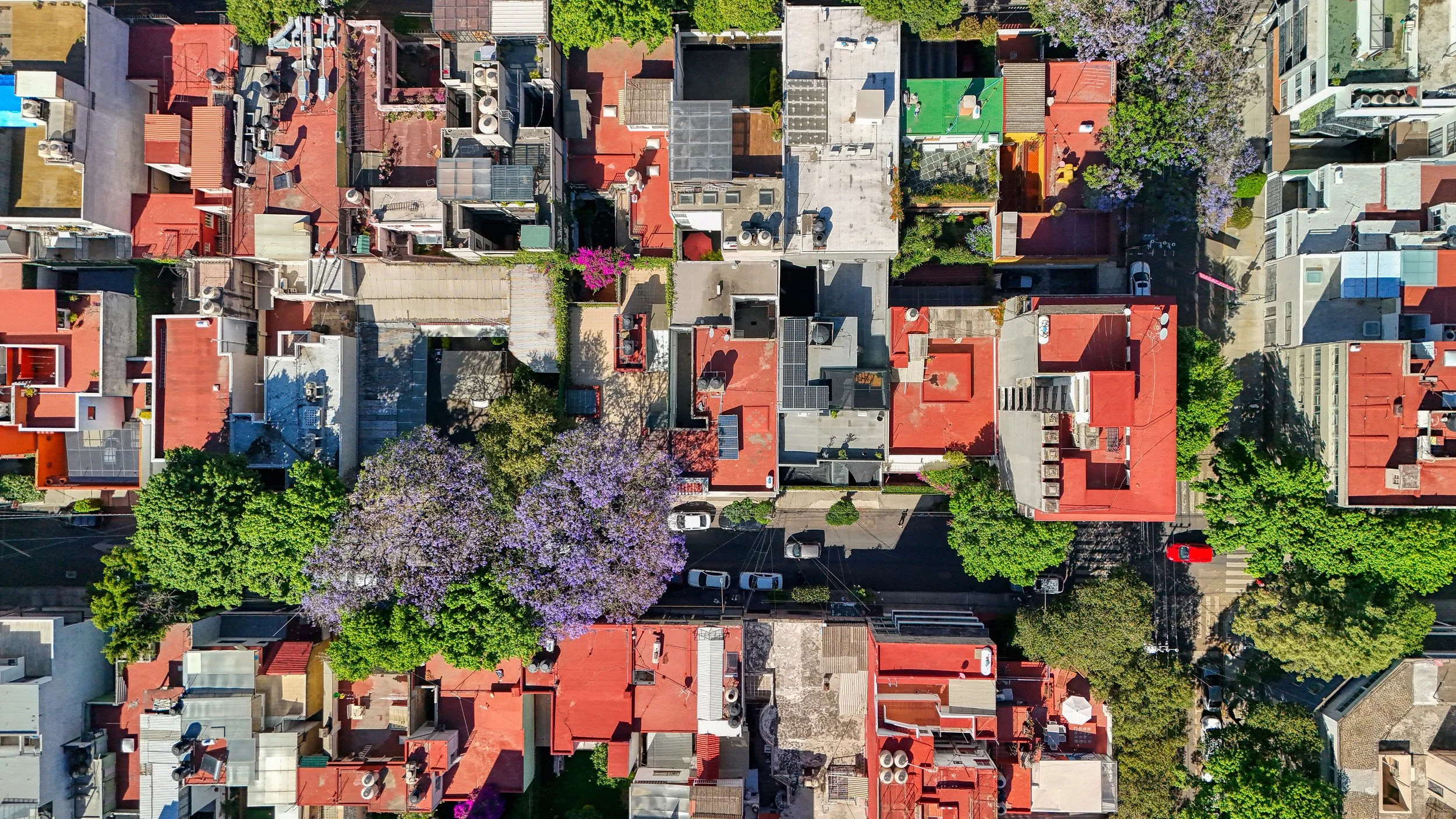 DJI_20250411103240_0255_D.jpeg