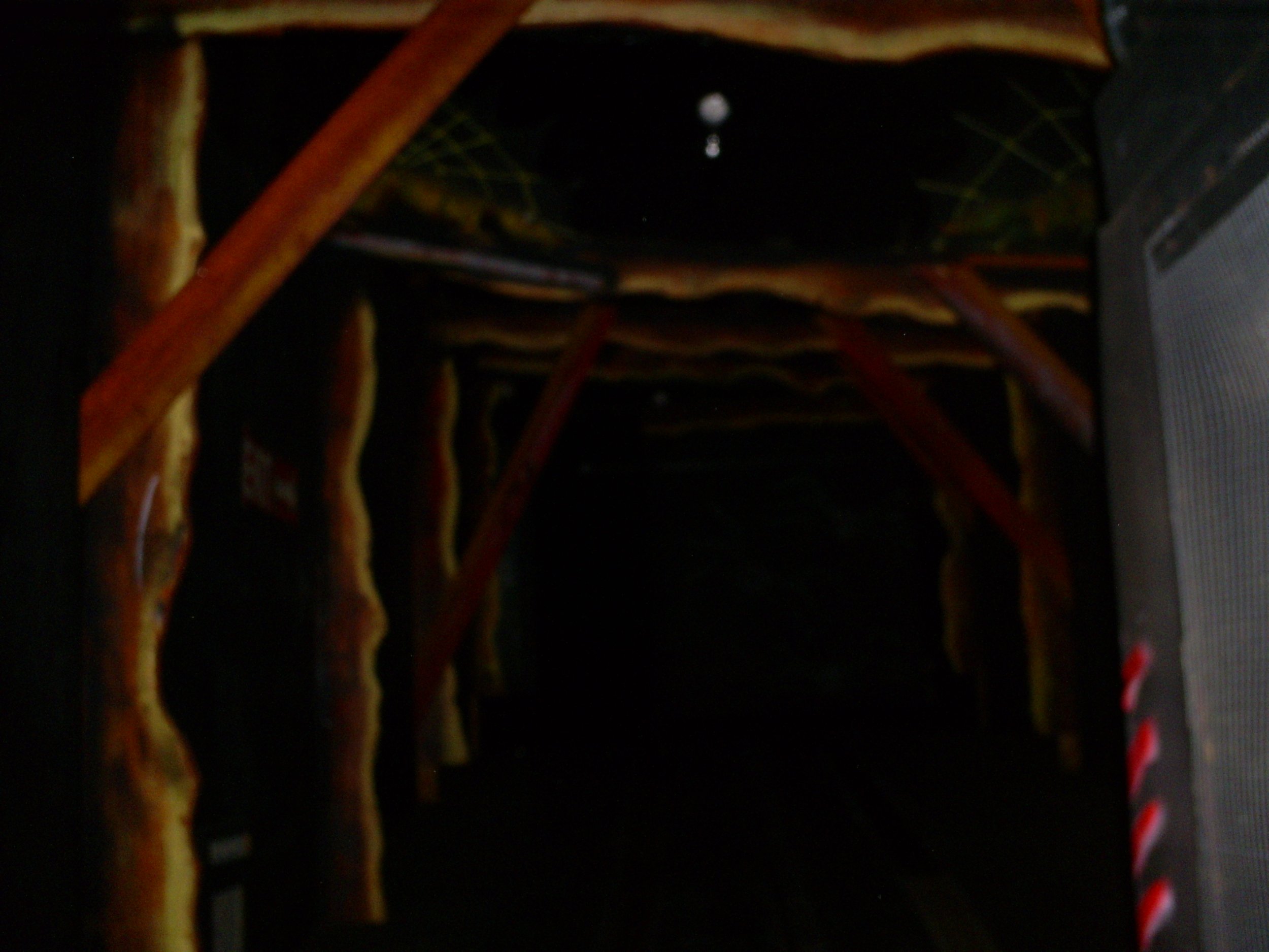 Waldameer’s Wacky Shack: Bill Tracy’s Last Surviving Funhouse of ...