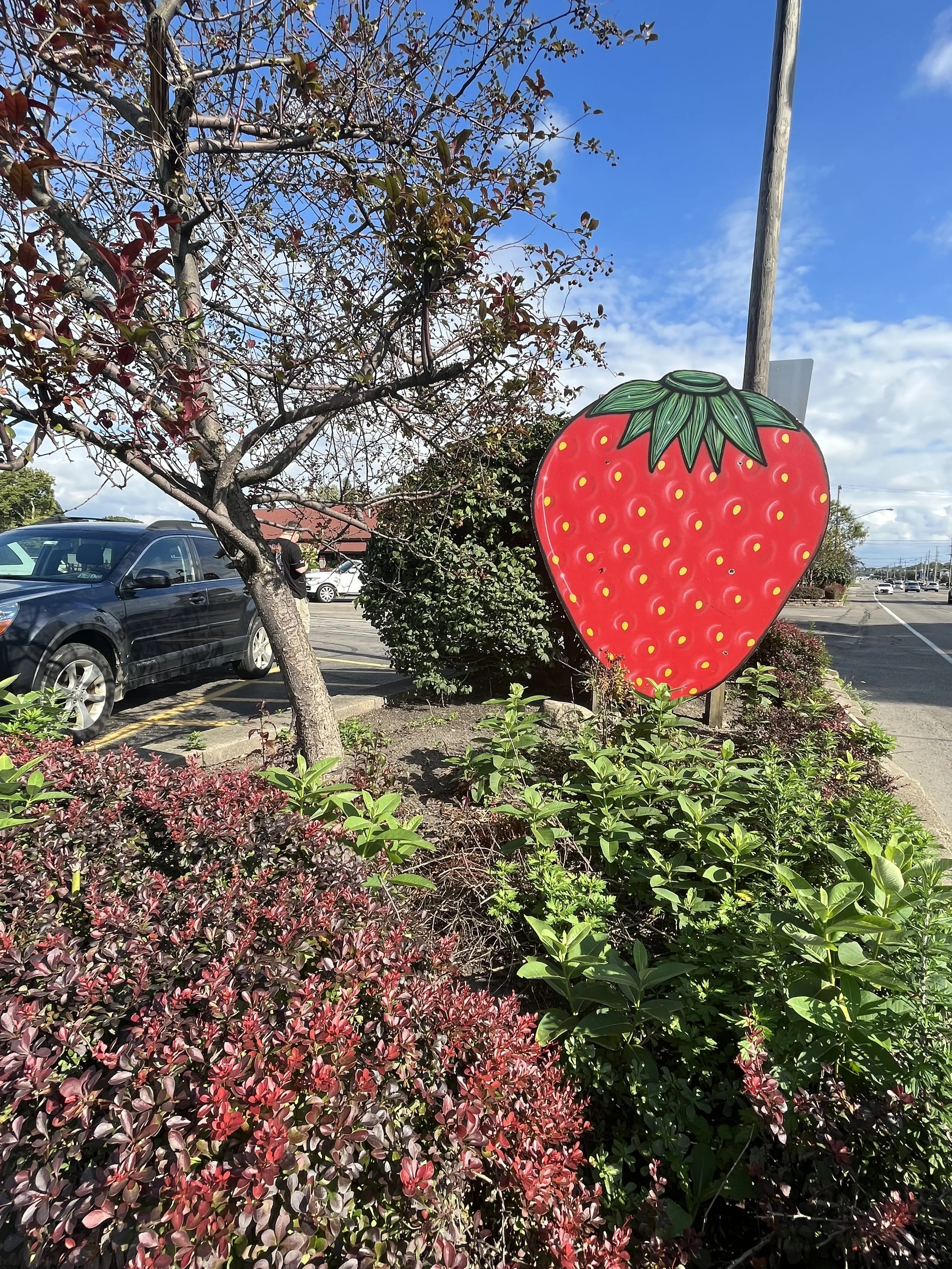 Mason Farm strawberry sign, Millcreek