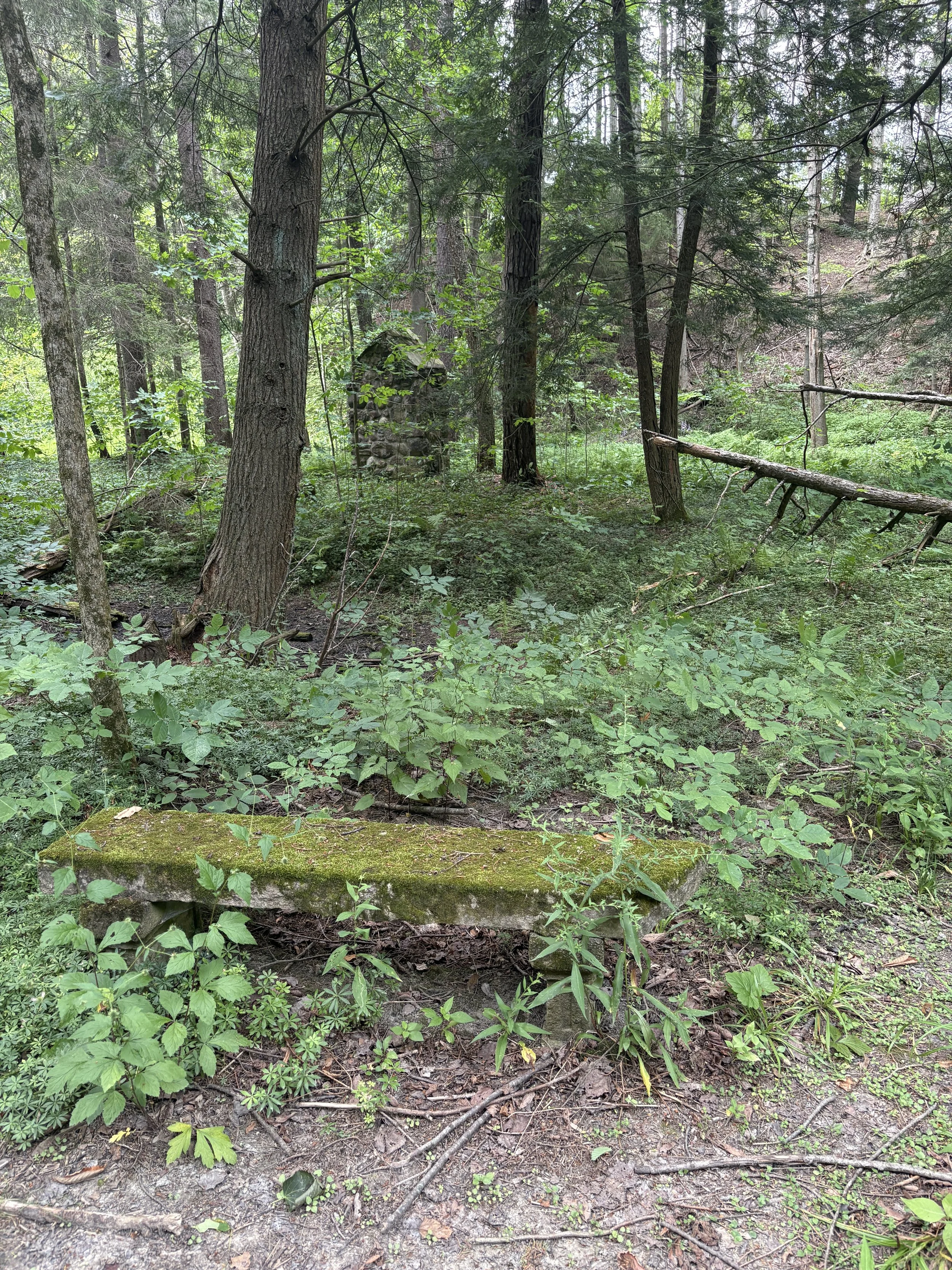 bench.jpg