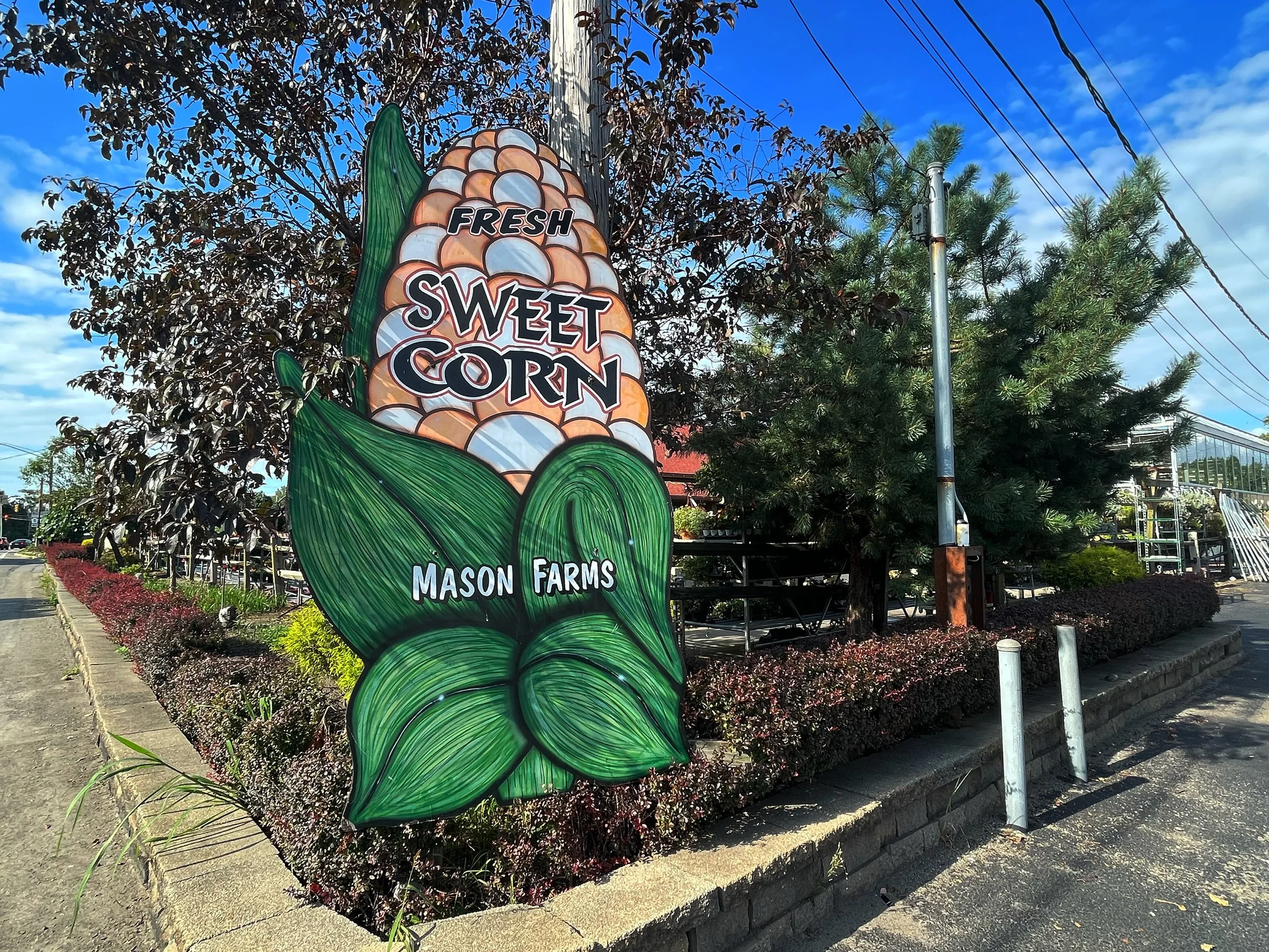Mason Farm corn sign, Millcreek