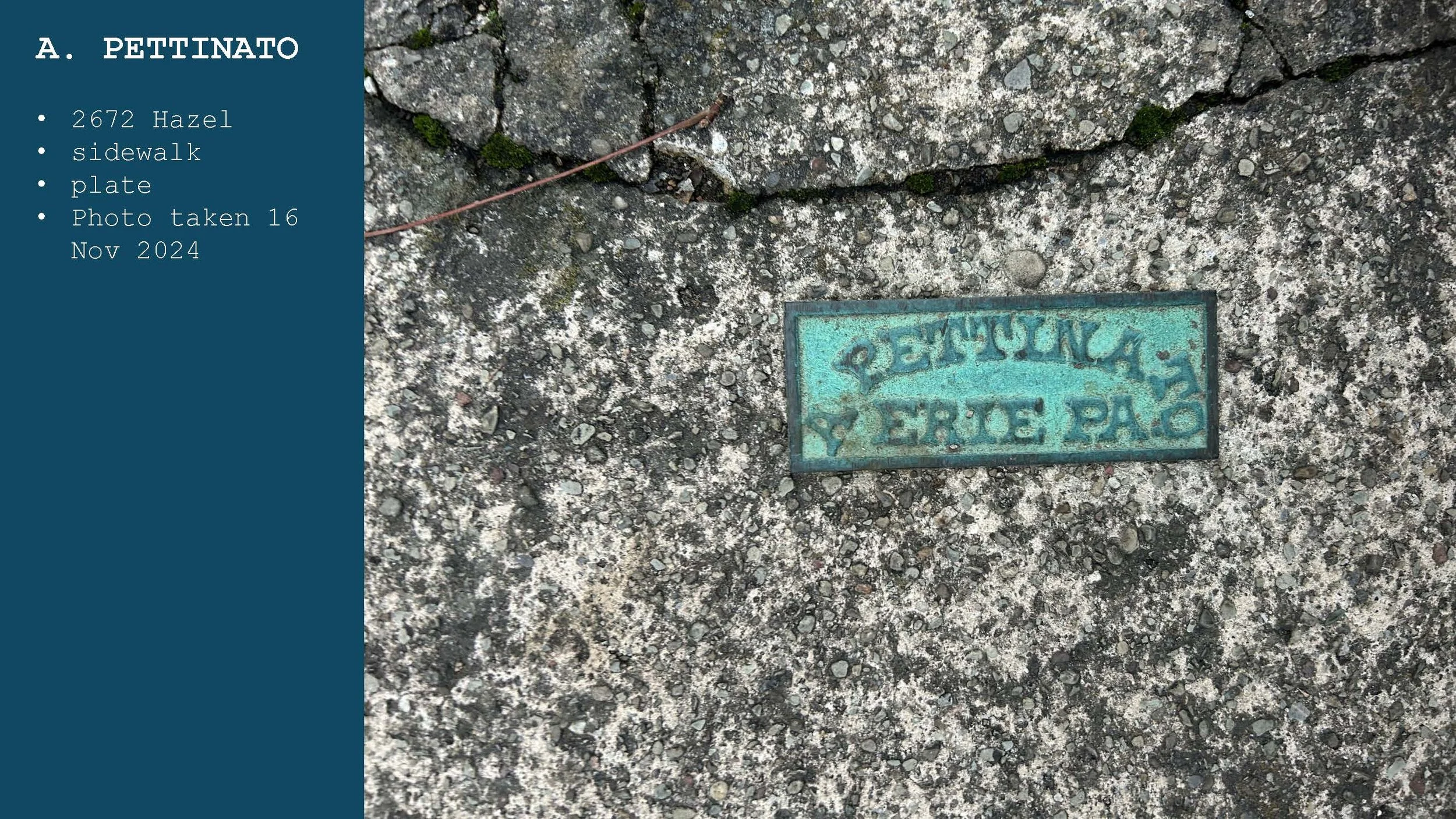 A brass plaque embedded in a concrete sidewalk, reading 'PETTINA' on top and 'Y. ERIDE PA' on the bottom, with some weathering and moss around it.