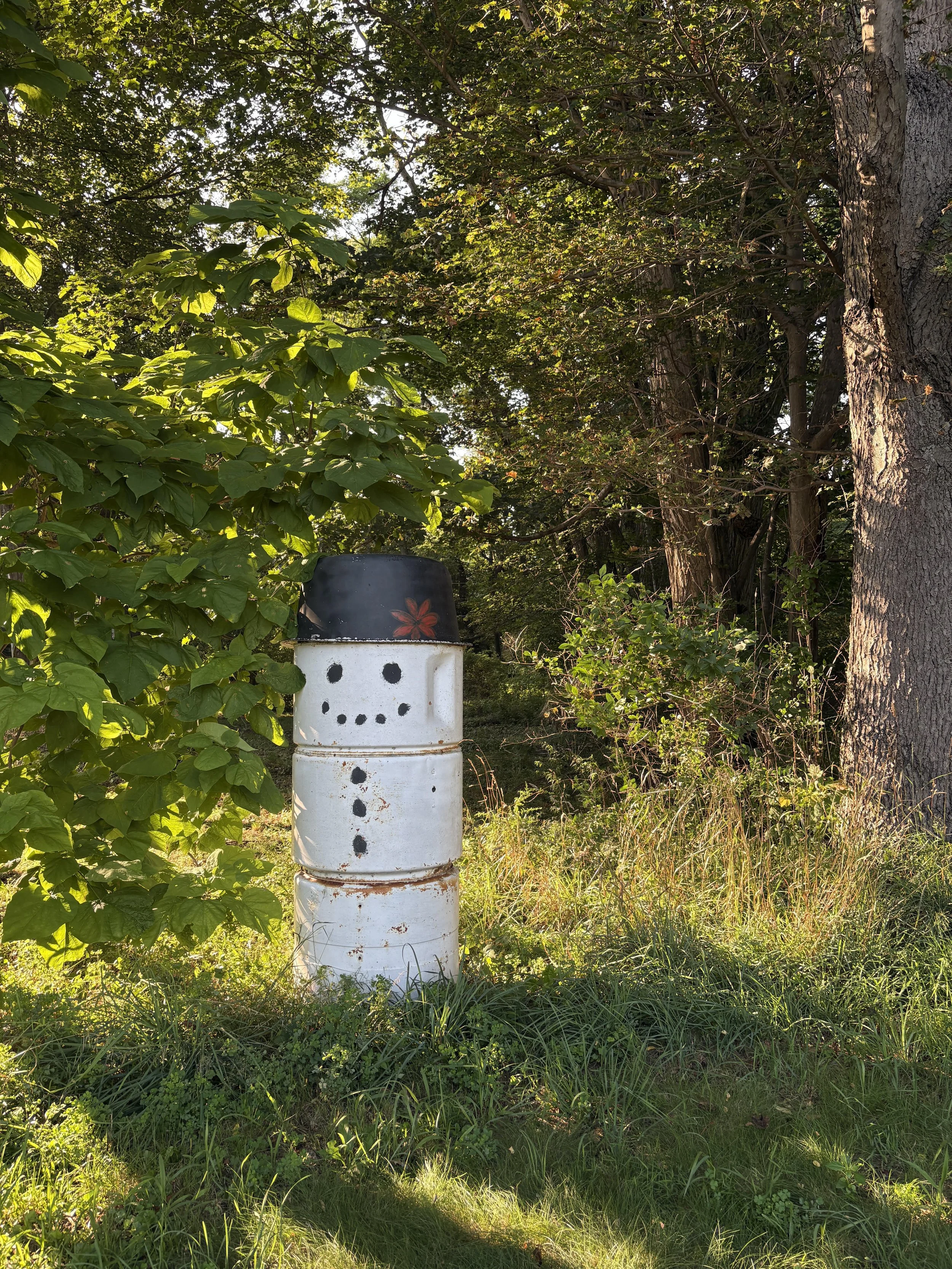 Snowman, Rt 5, Lake City