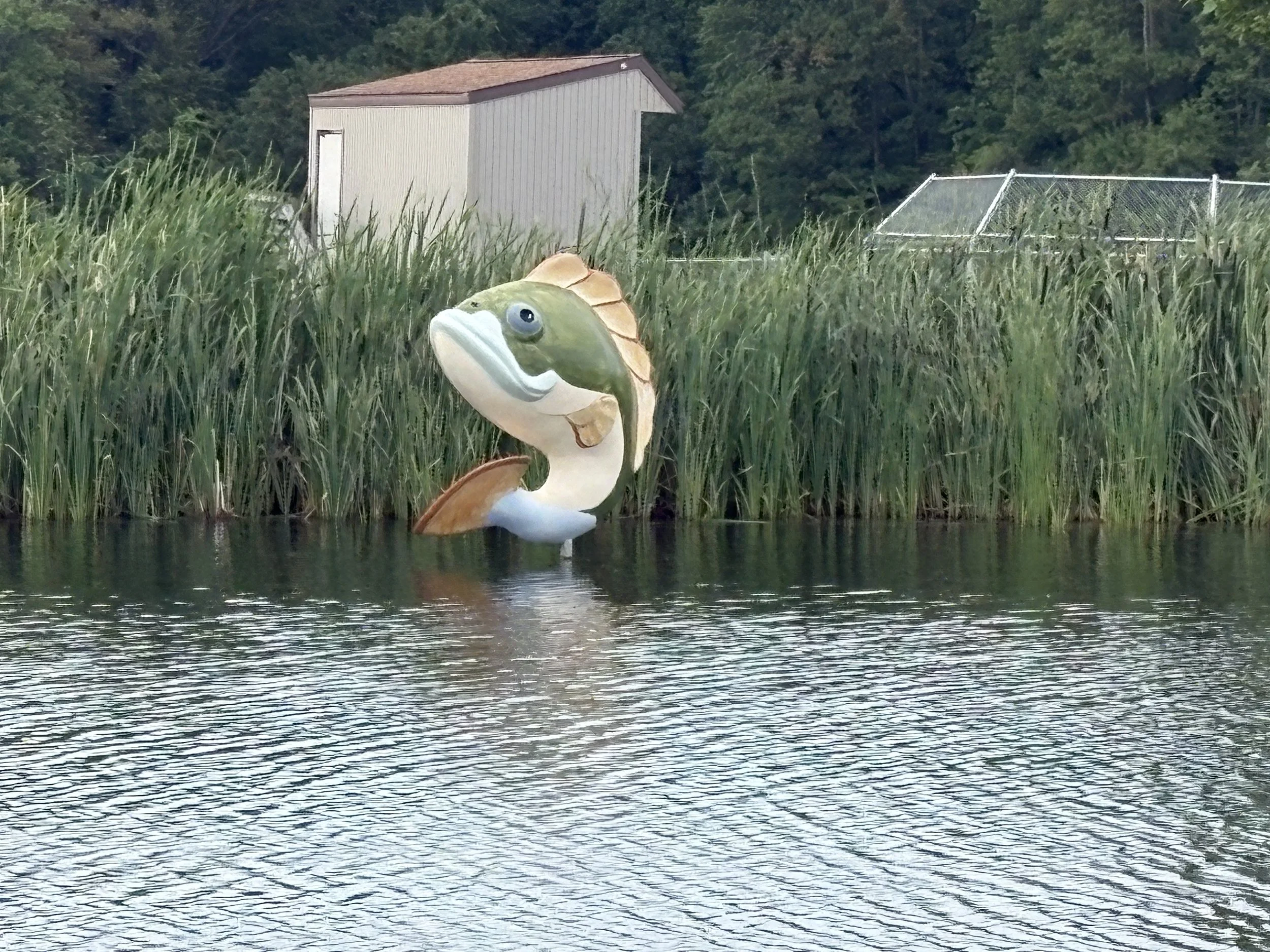 Harborcreek Community Park Fishing Pond 5850 Firman Rd