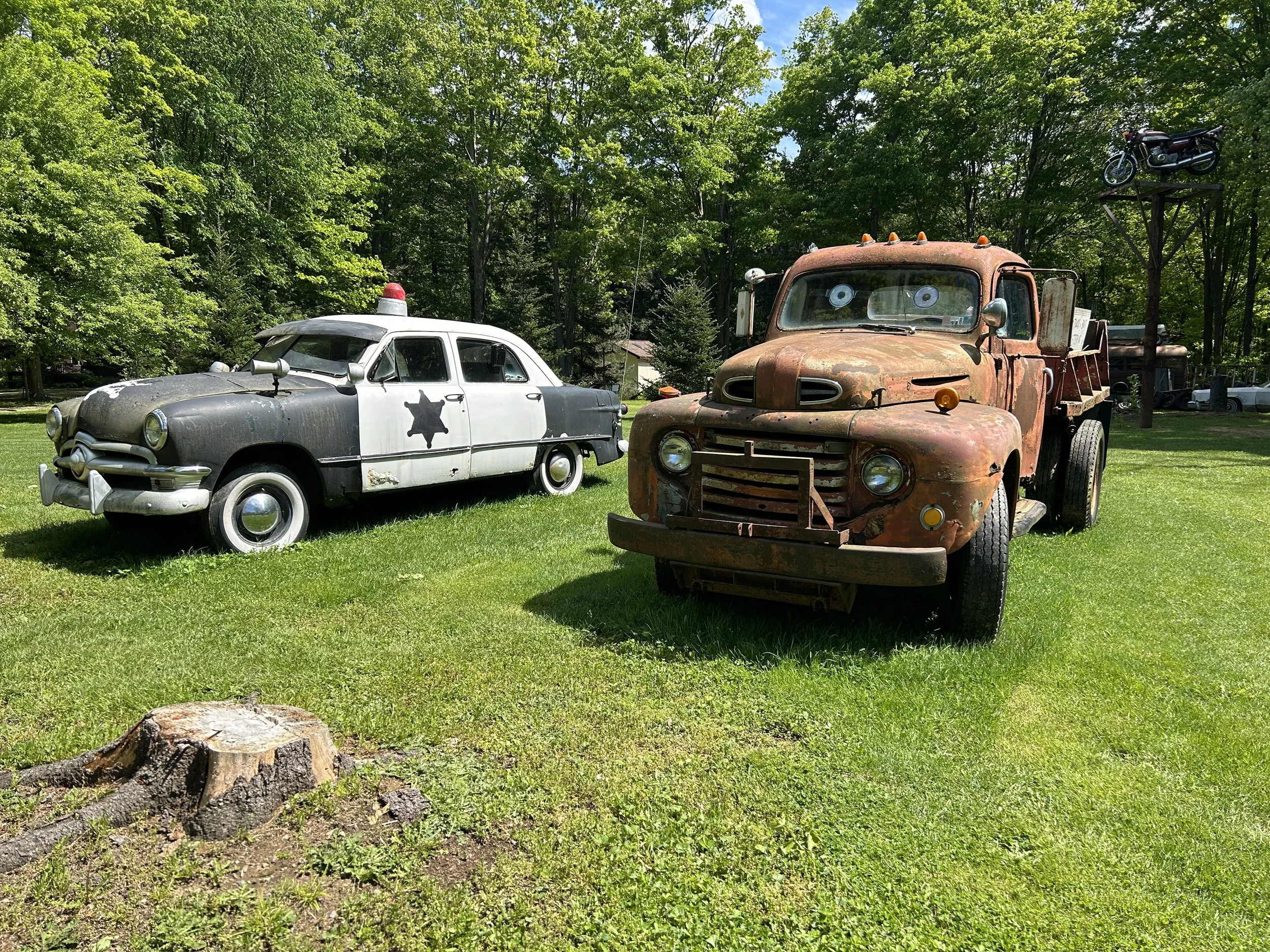 A vintage police car with a black and white paint job and a red light on top, and an old rusty tow truck with googly eyes on the windshield, parked on grass with green trees in the background.